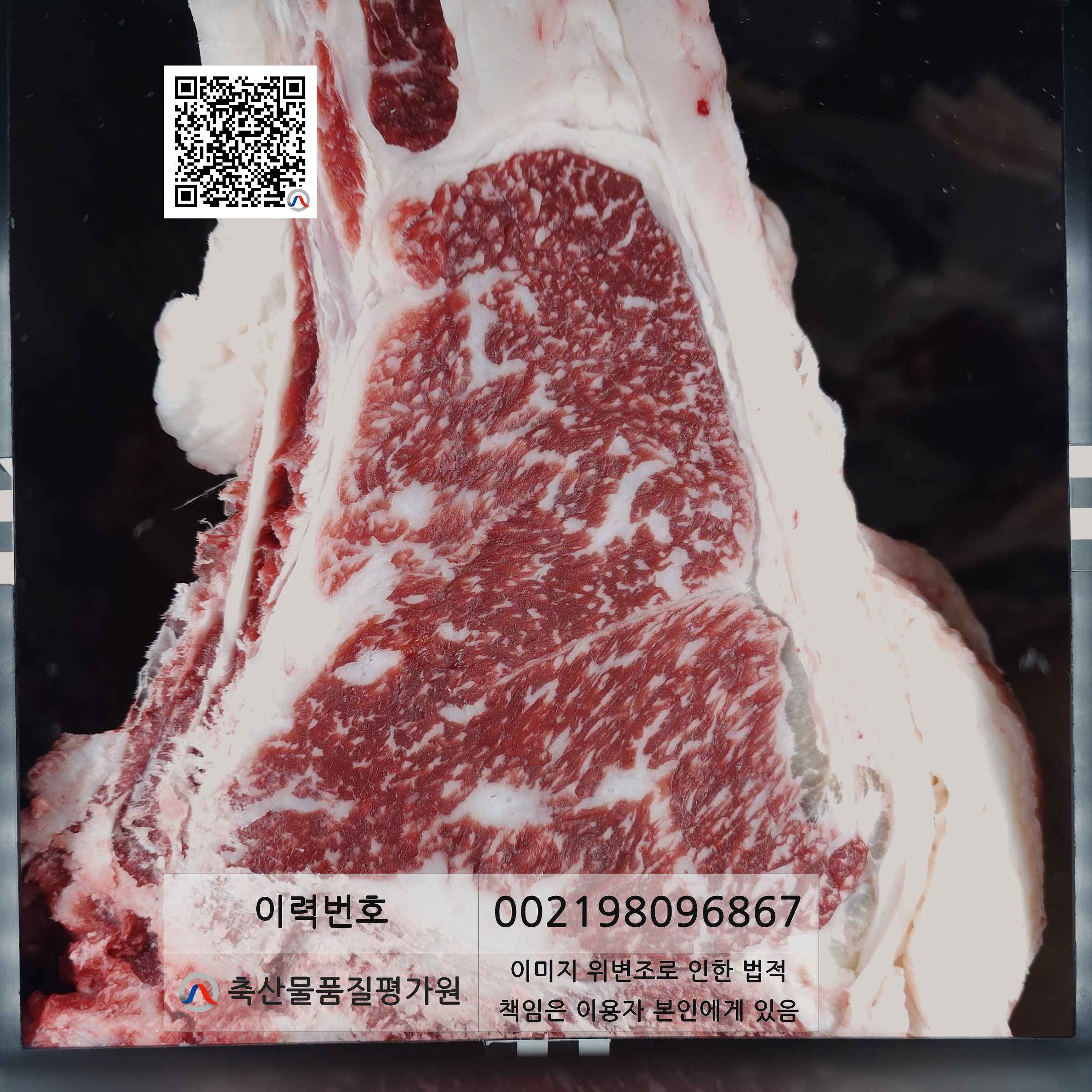 등심단면적 사진
