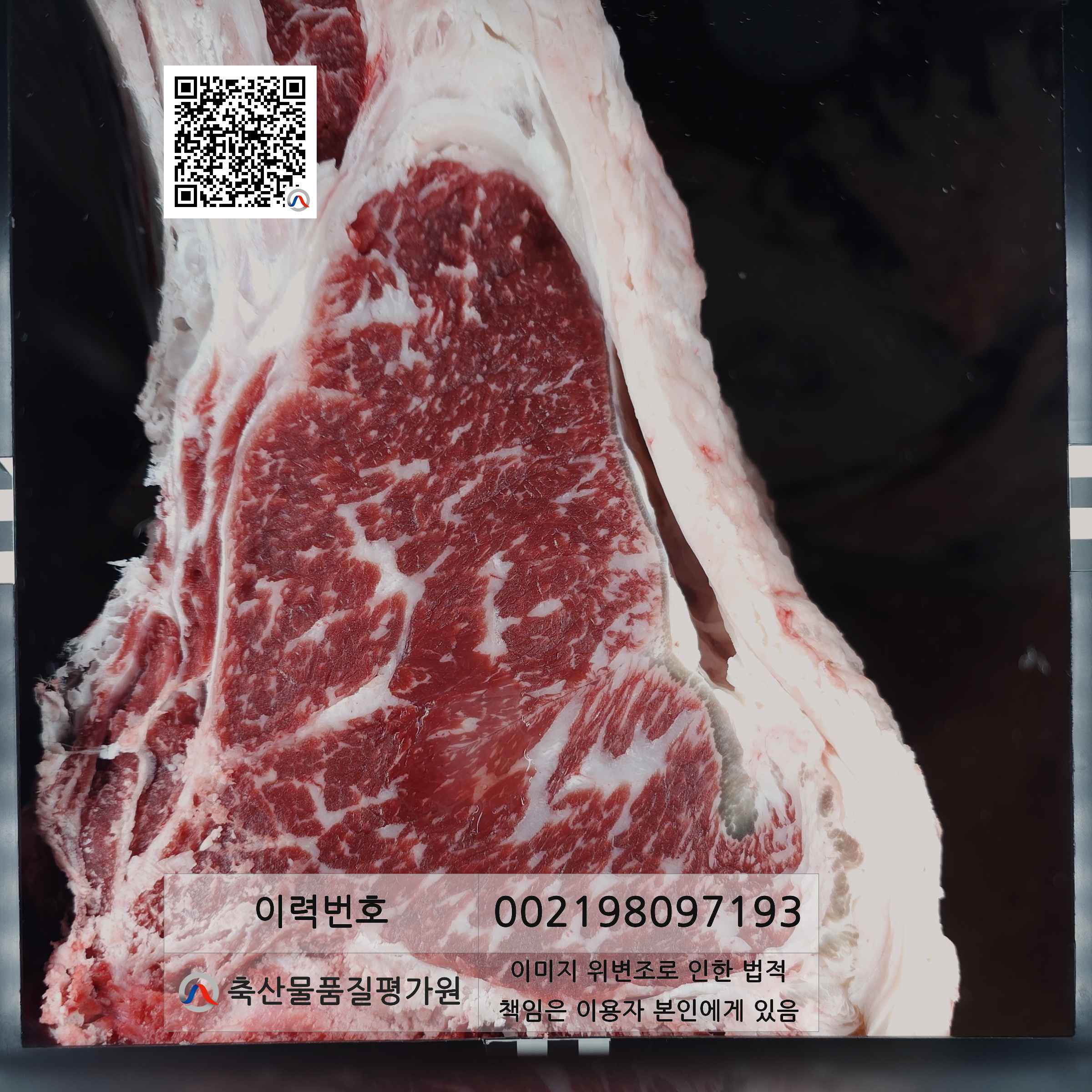 등심단면적 사진