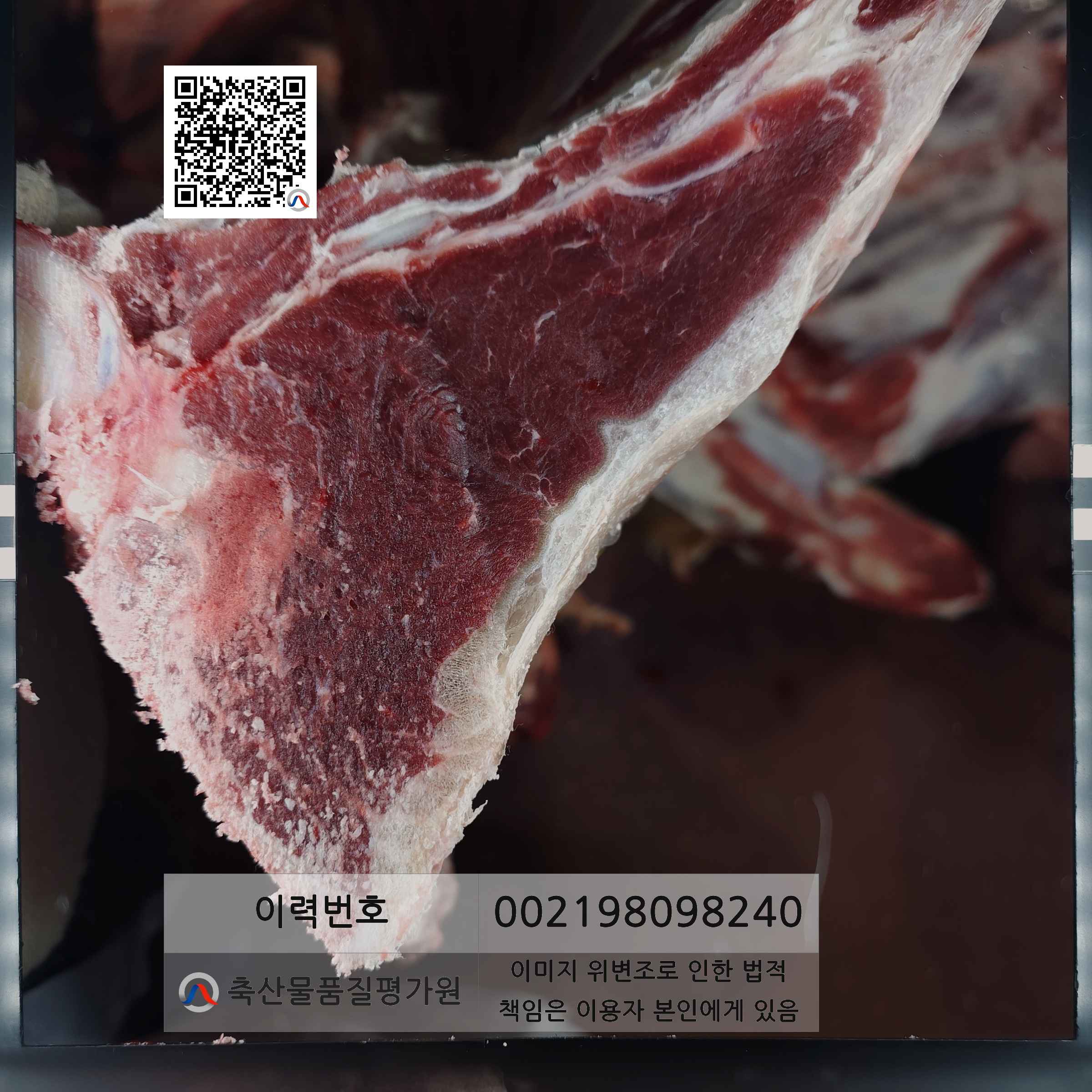 등심단면적 사진