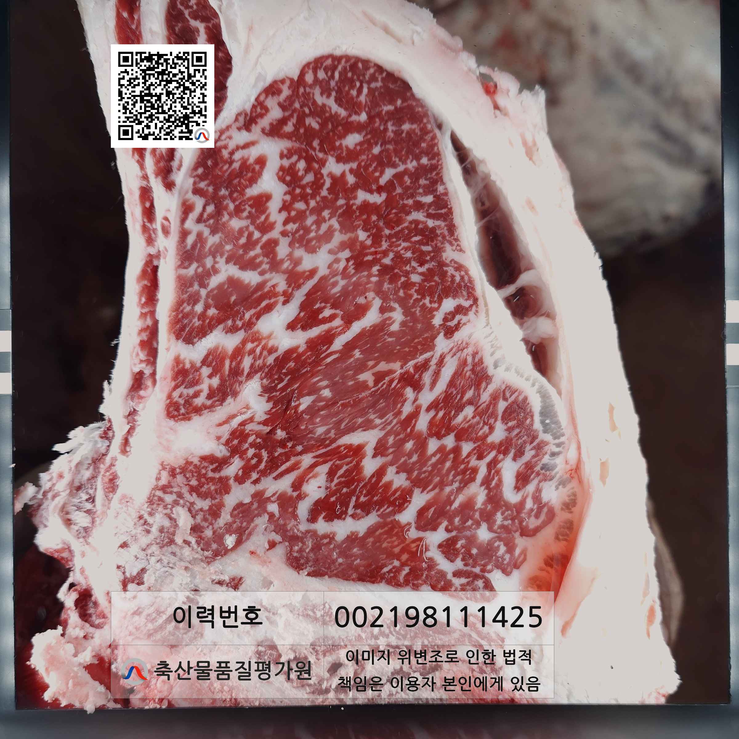 등심단면적 사진