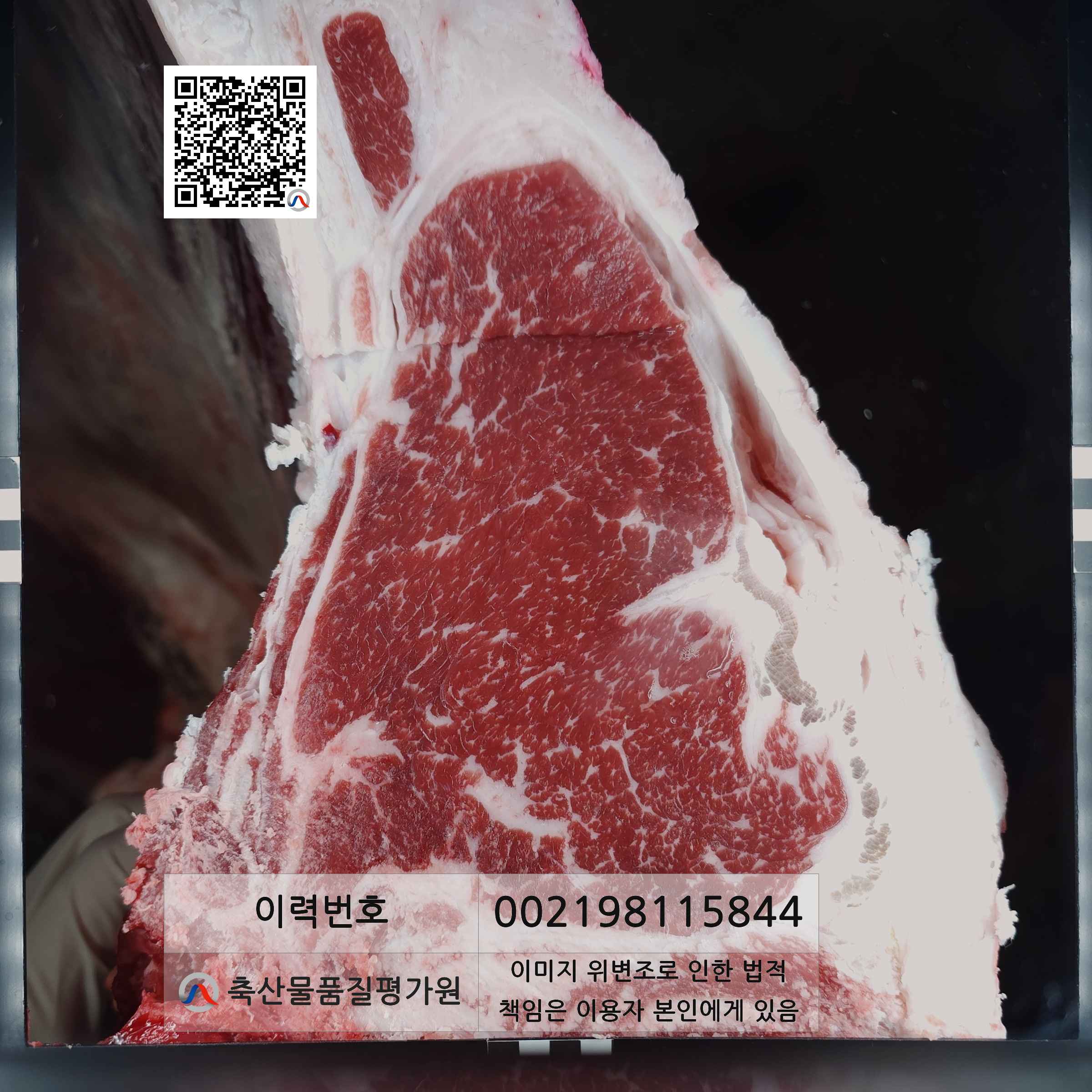등심단면적 사진