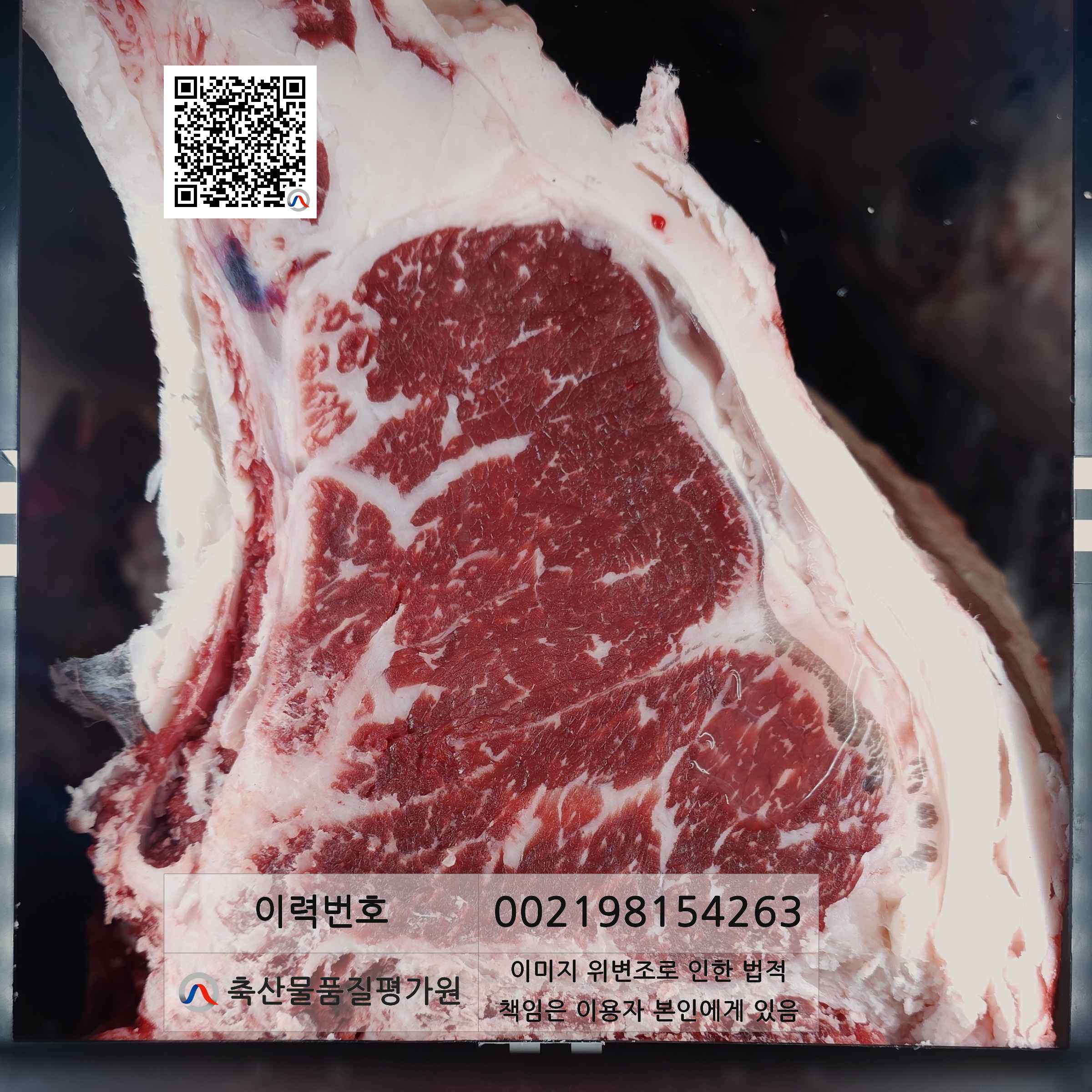 등심단면적 사진