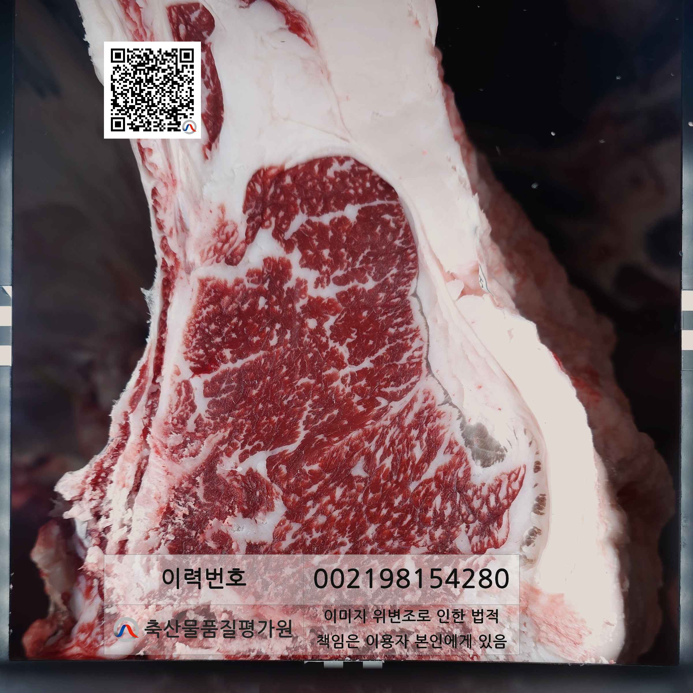 등심단면적 사진