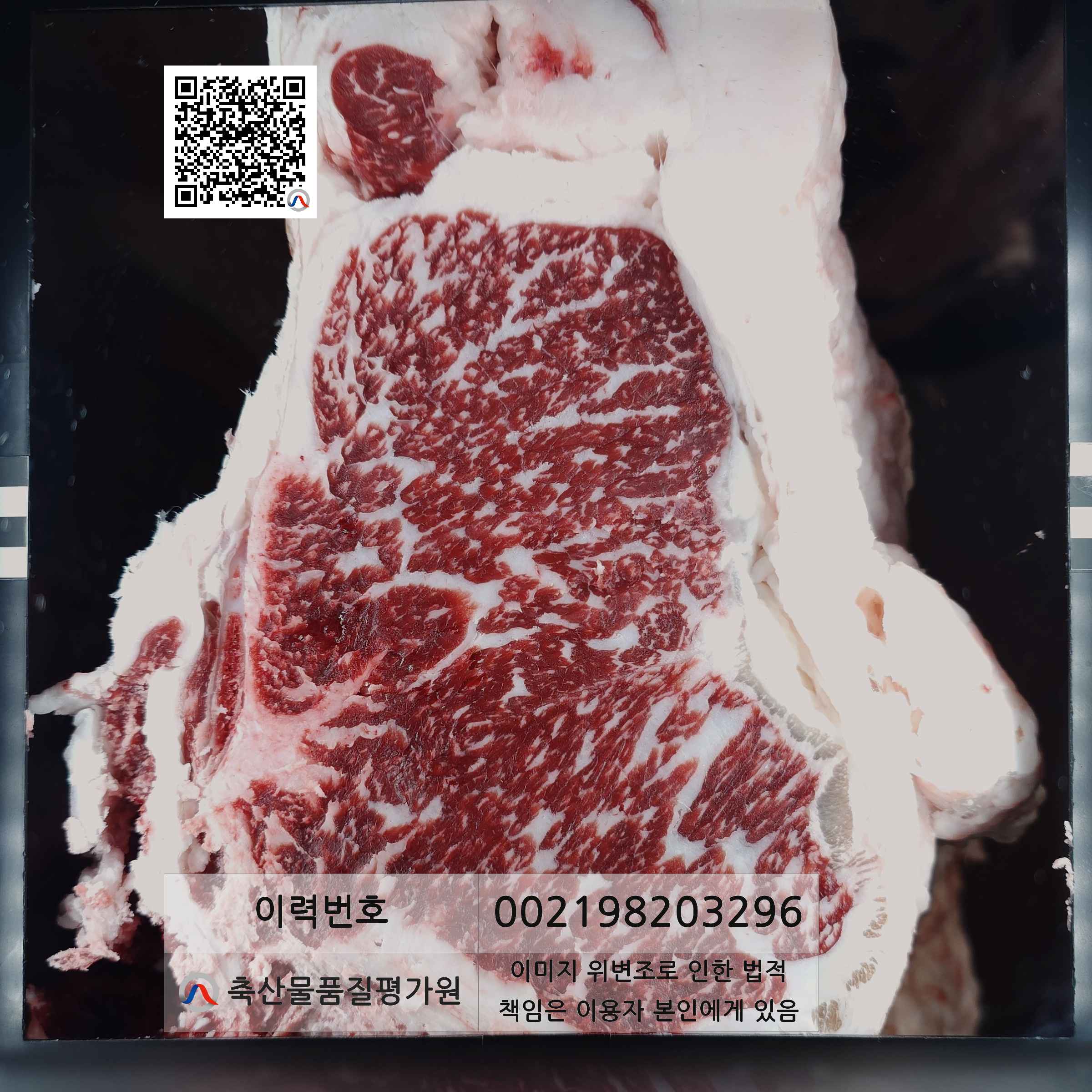 등심단면적 사진
