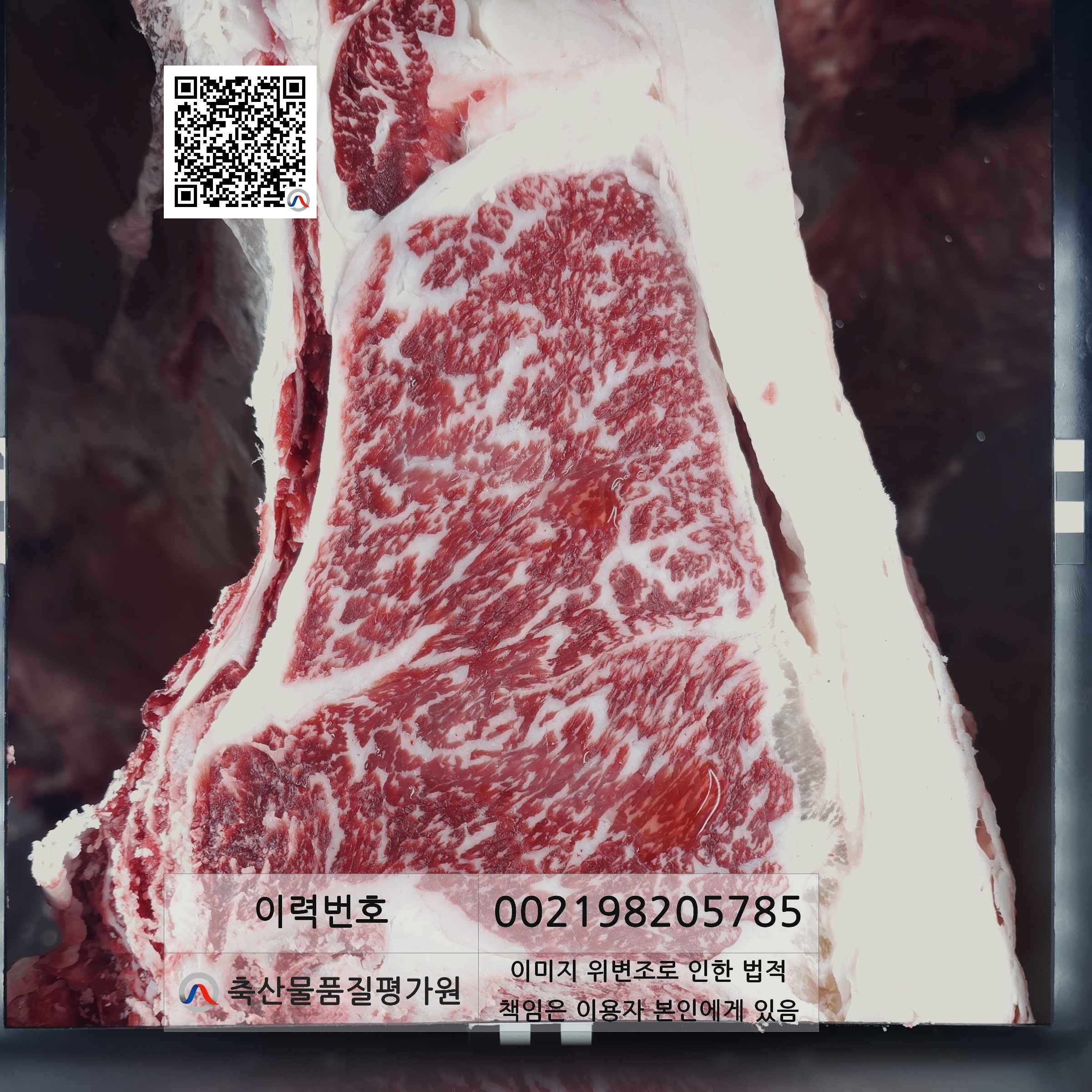등심단면적 사진