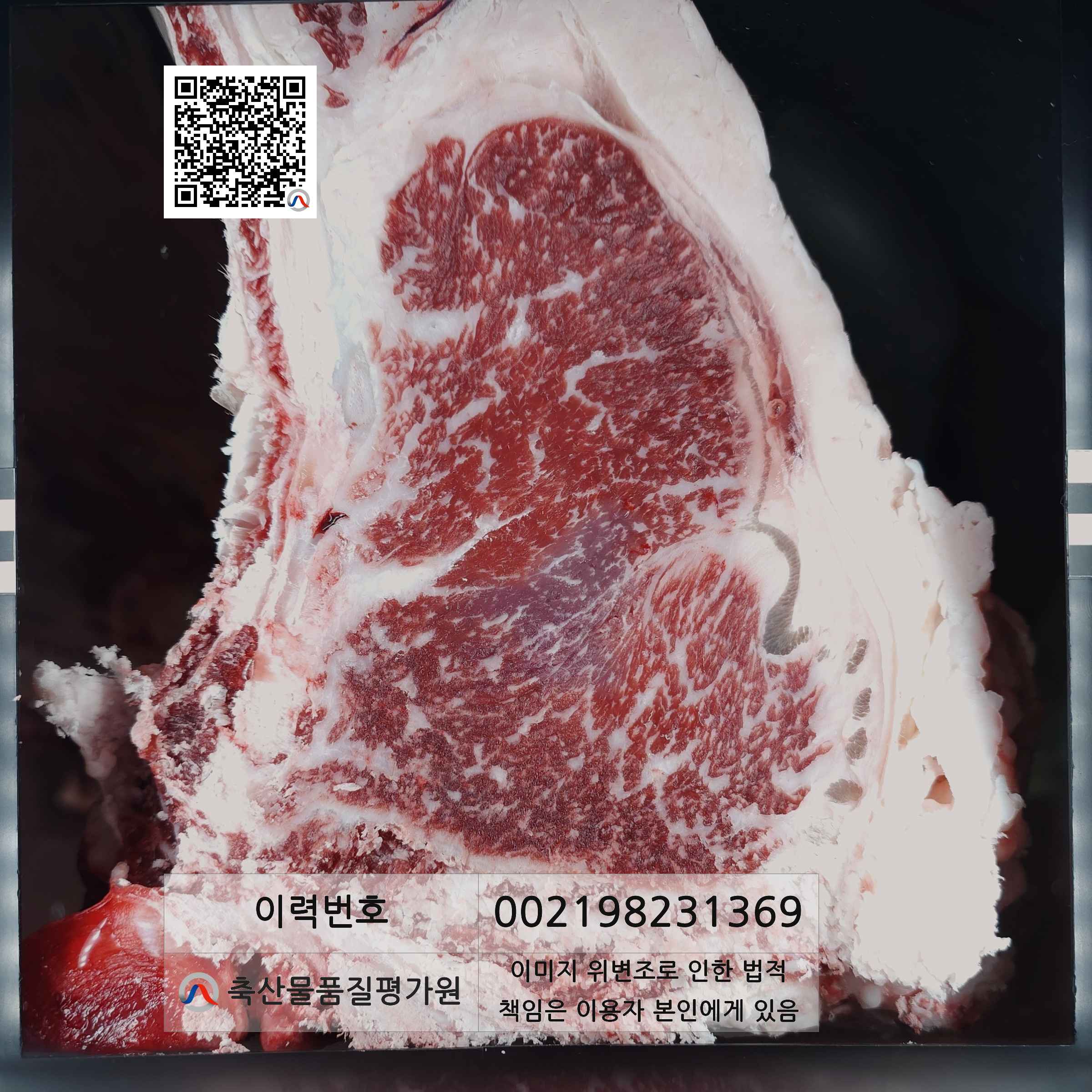 등심단면적 사진