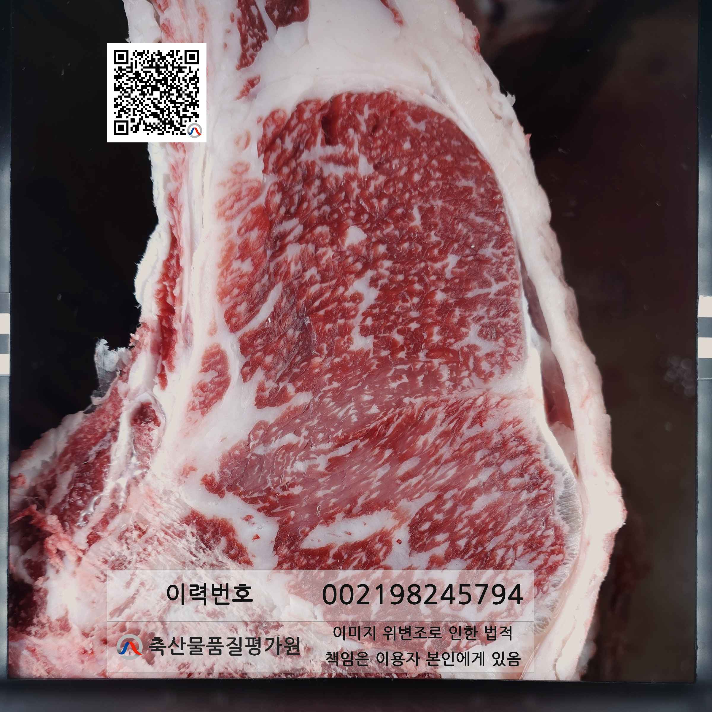 등심단면적 사진