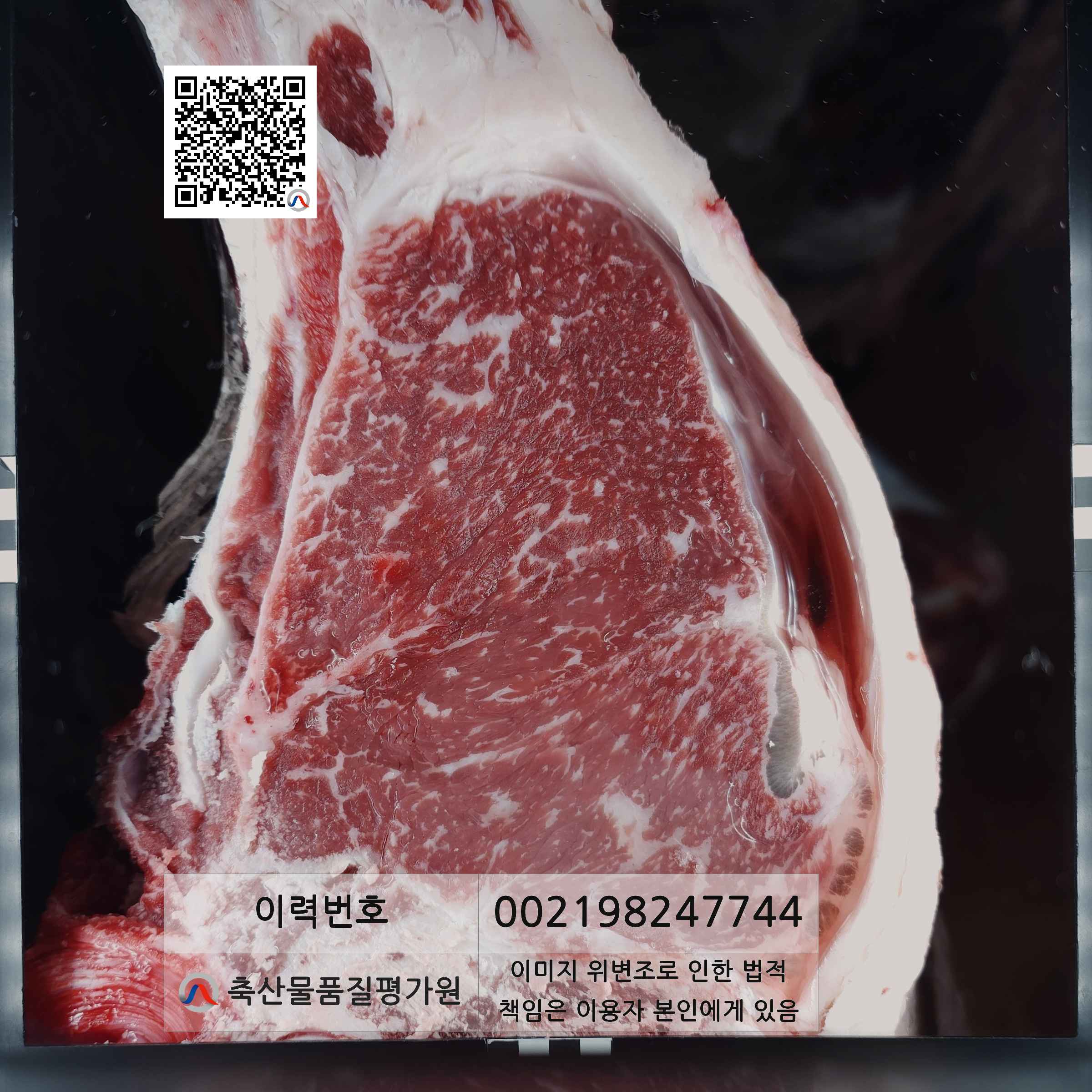 등심단면적 사진
