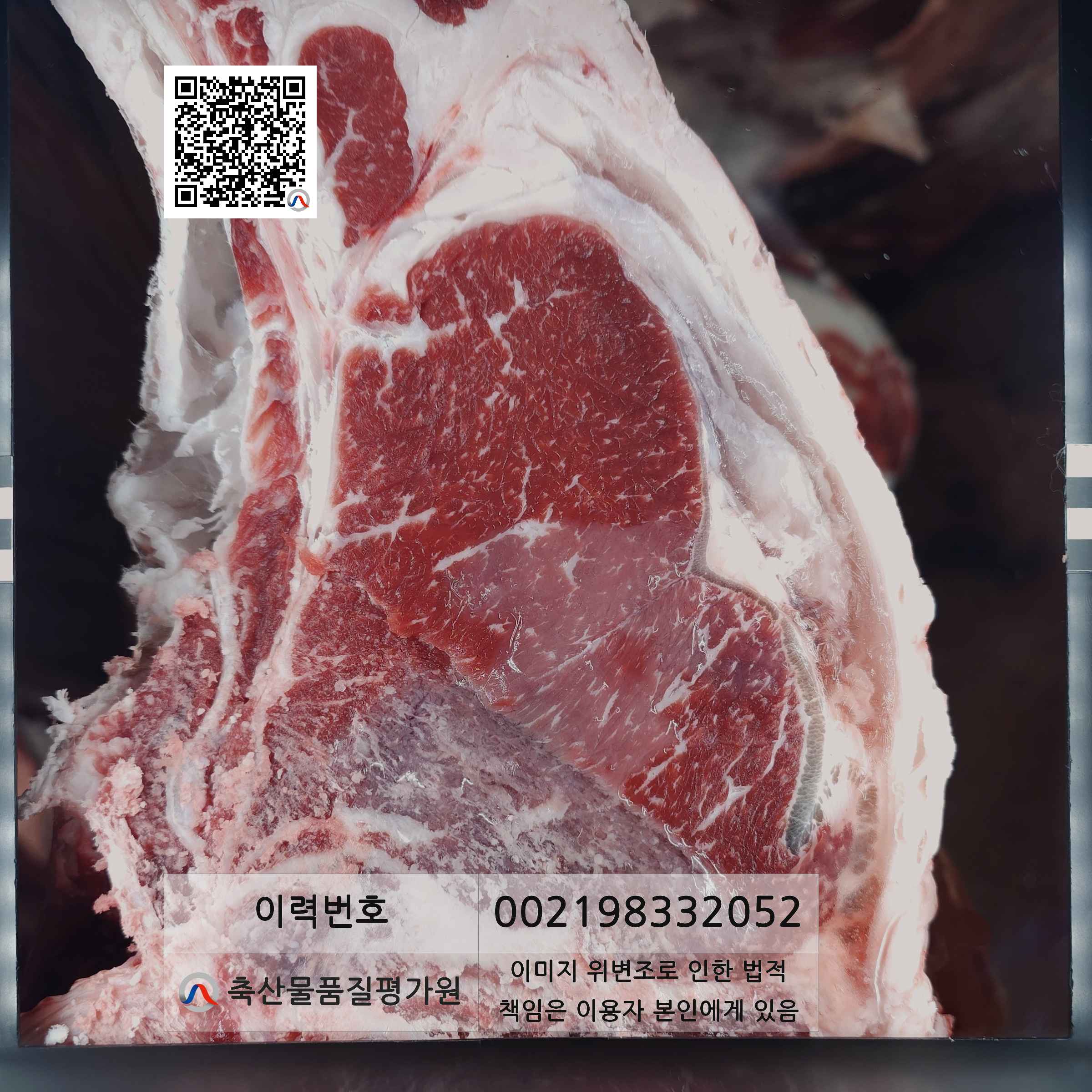 등심단면적 사진