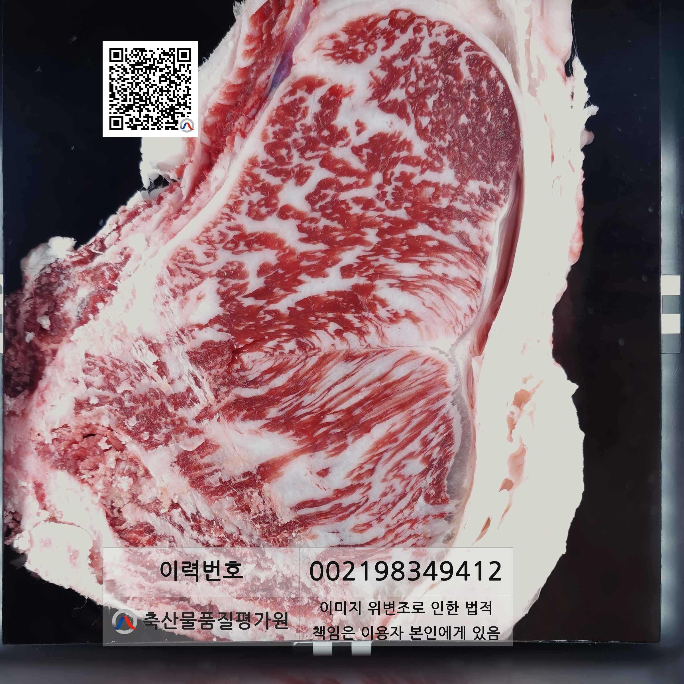 등심단면적 사진