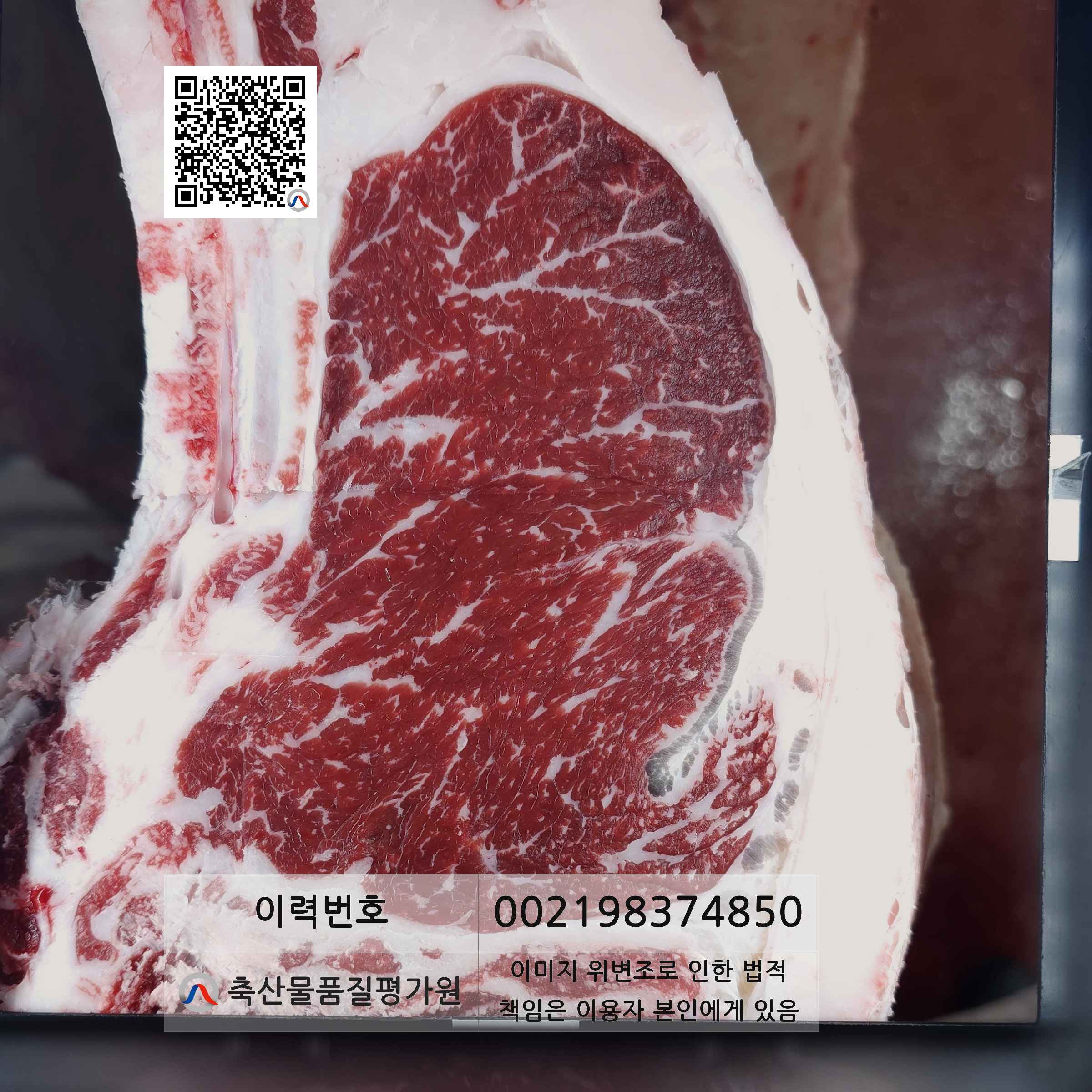 등심단면적 사진
