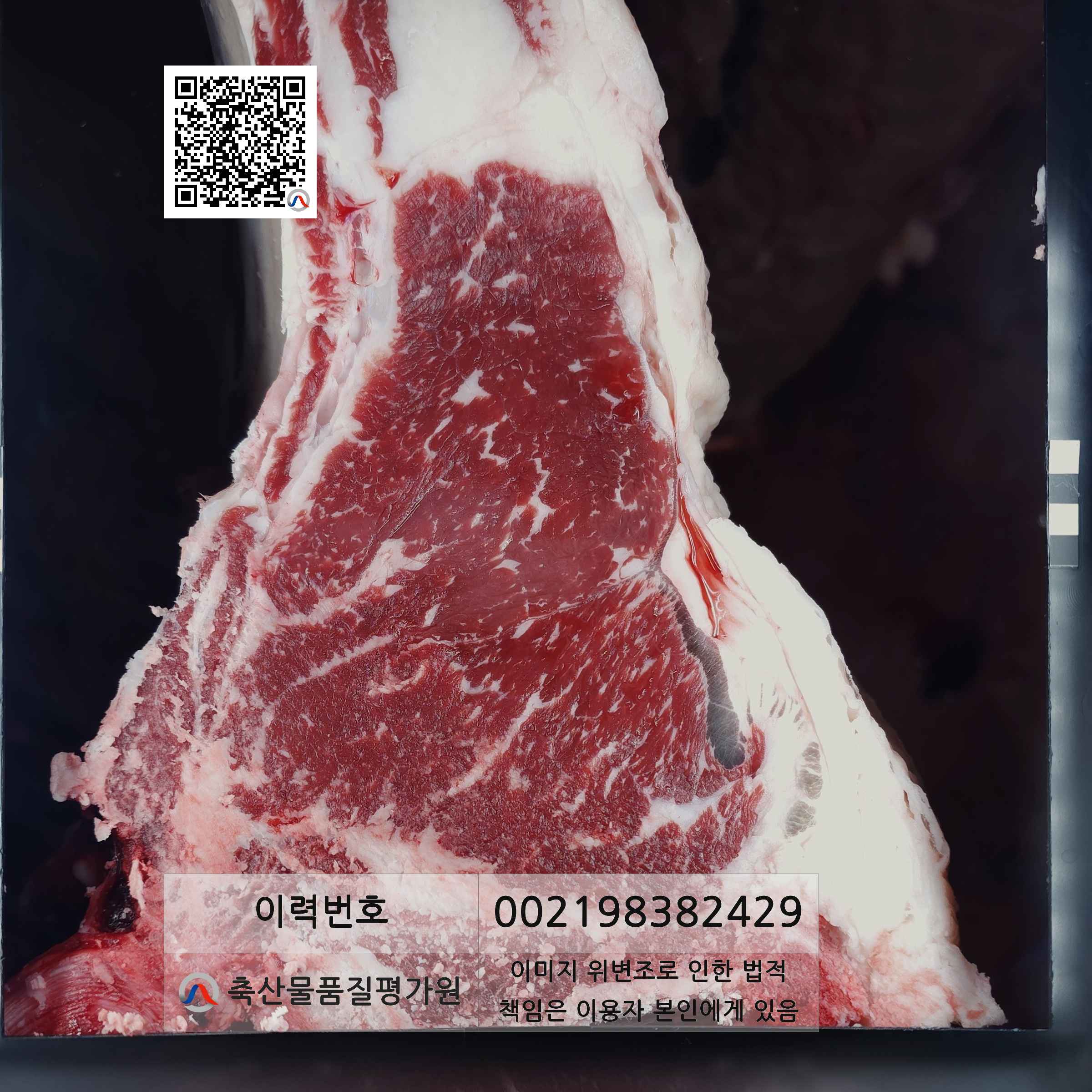 등심단면적 사진