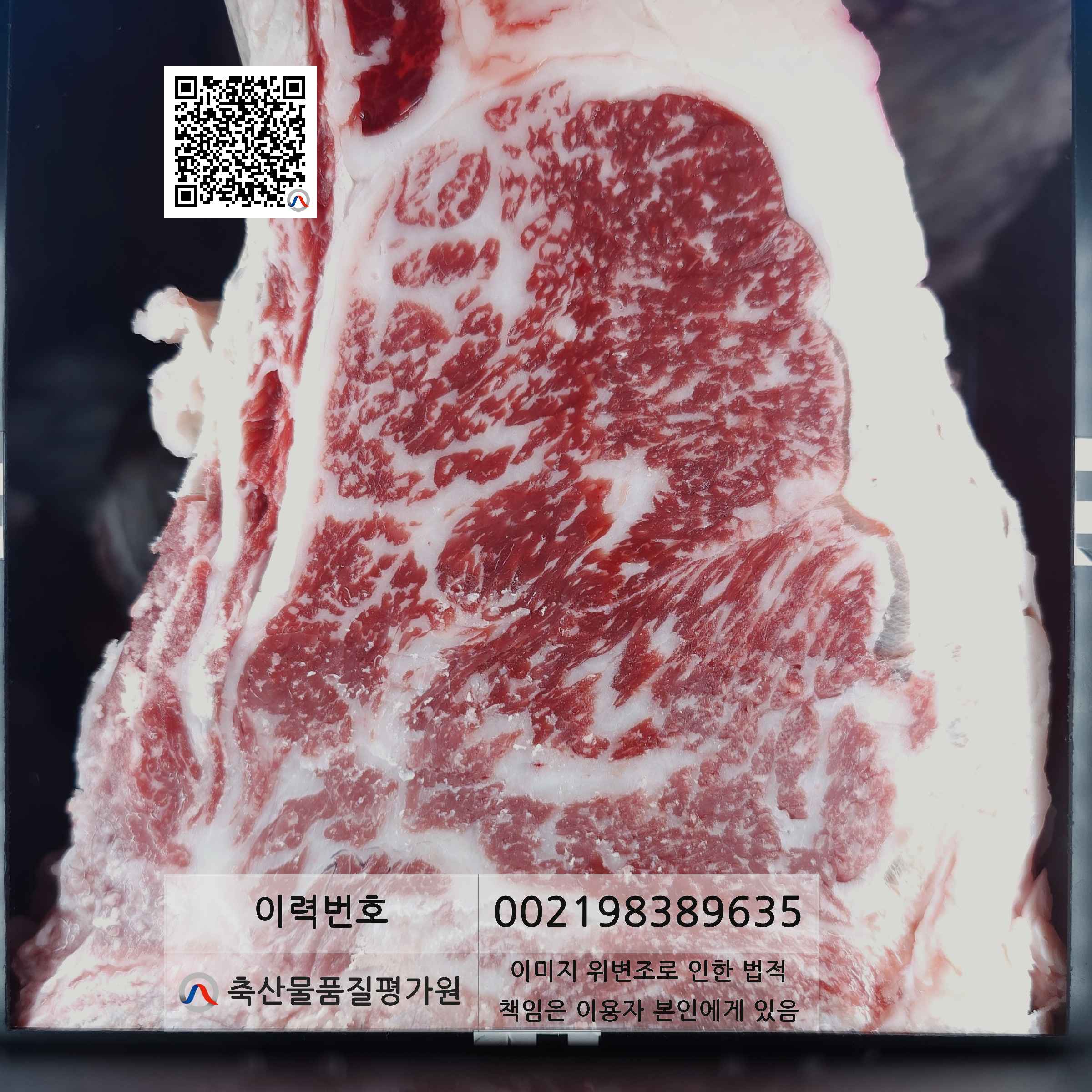등심단면적 사진
