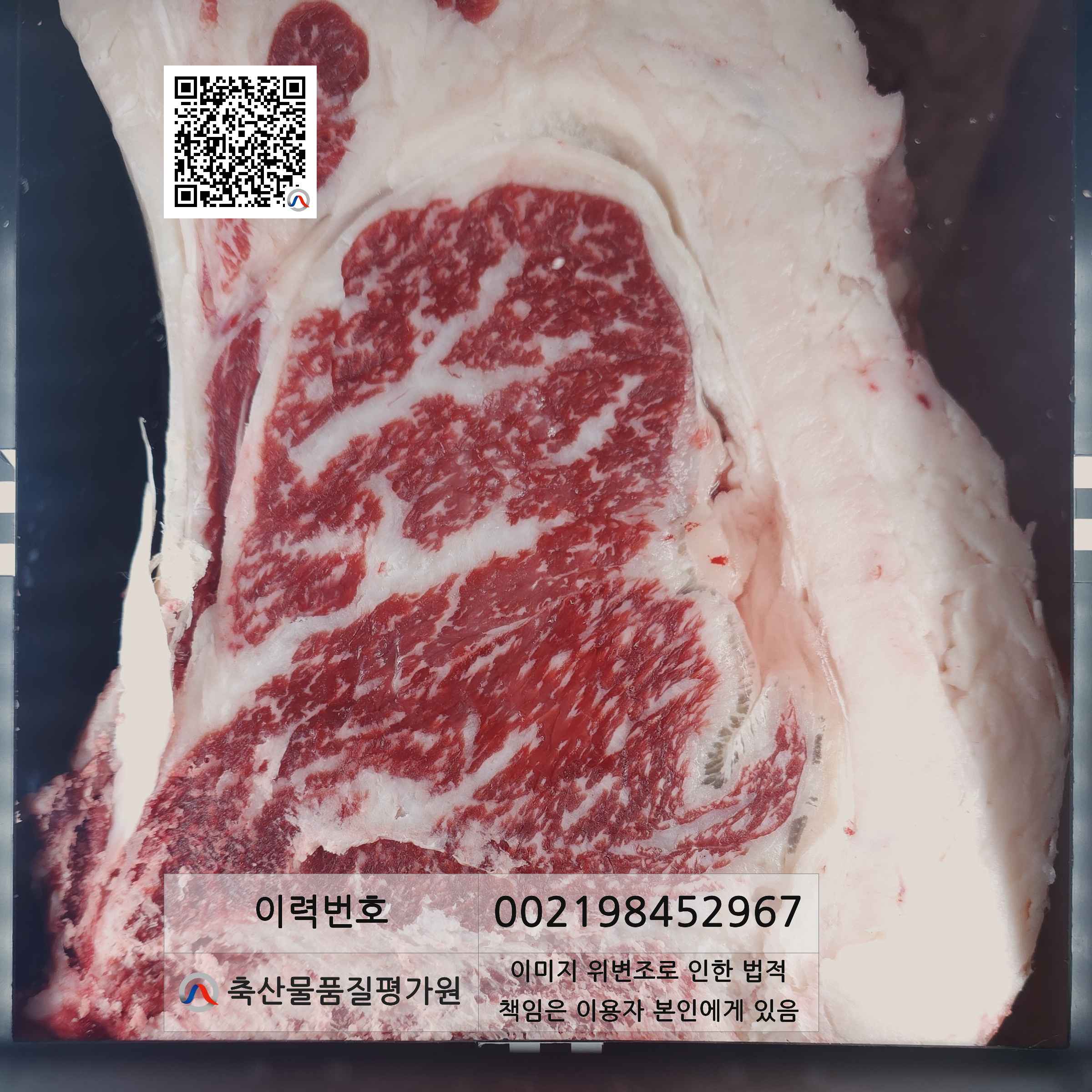 등심단면적 사진
