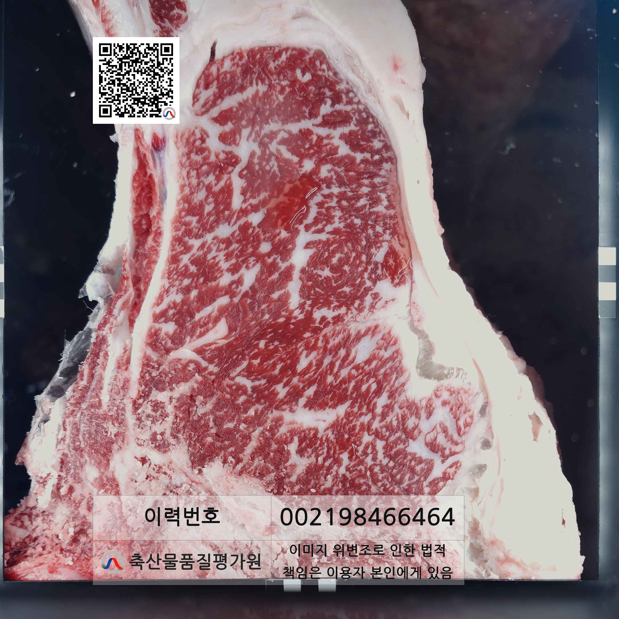 등심단면적 사진