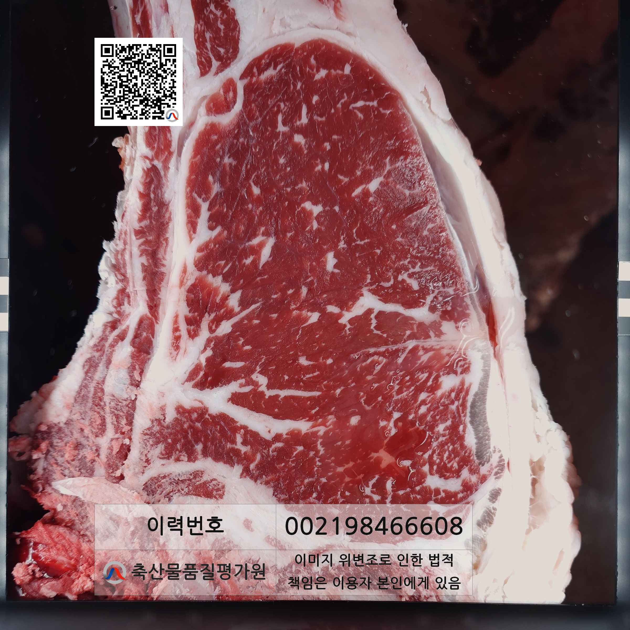 등심단면적 사진