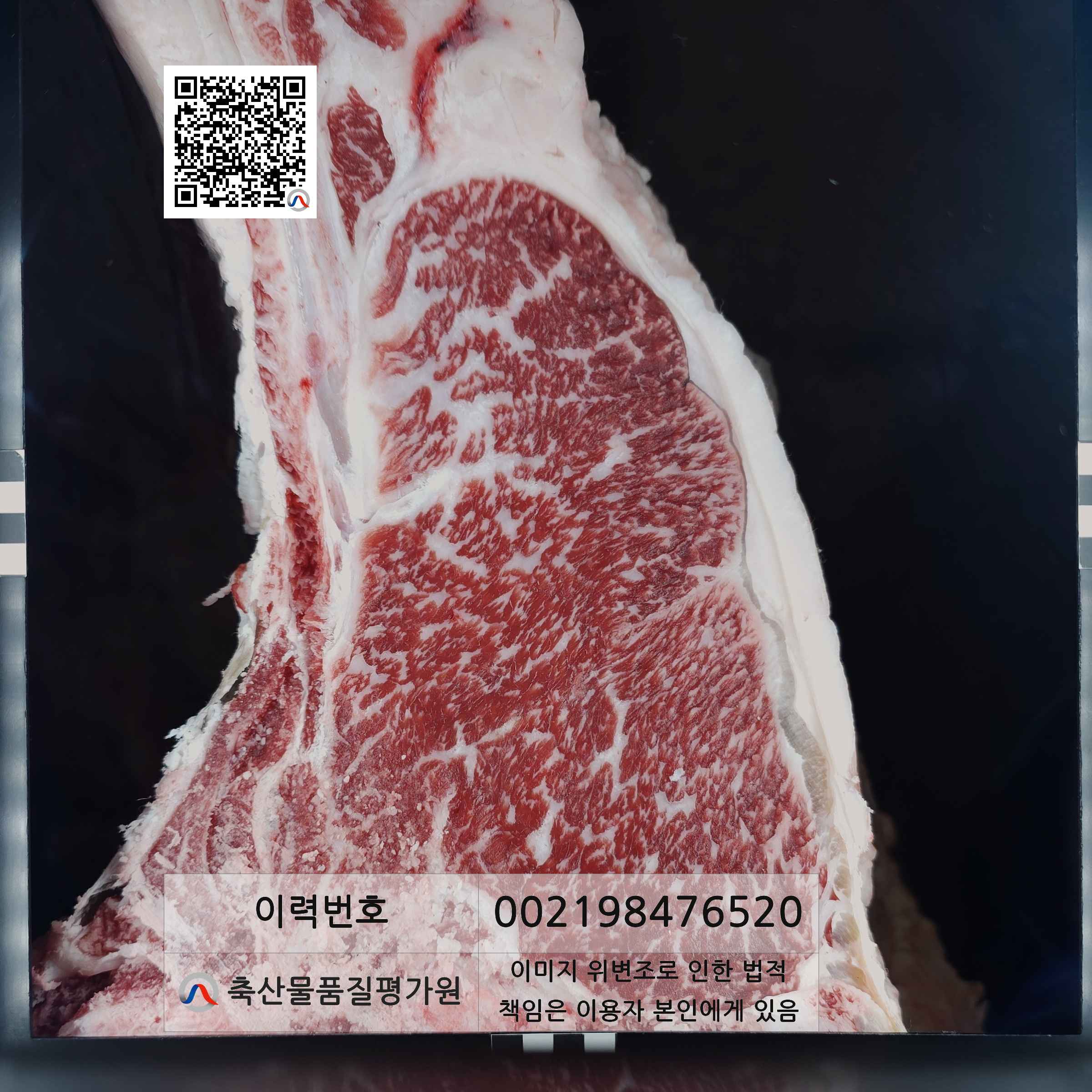 등심단면적 사진
