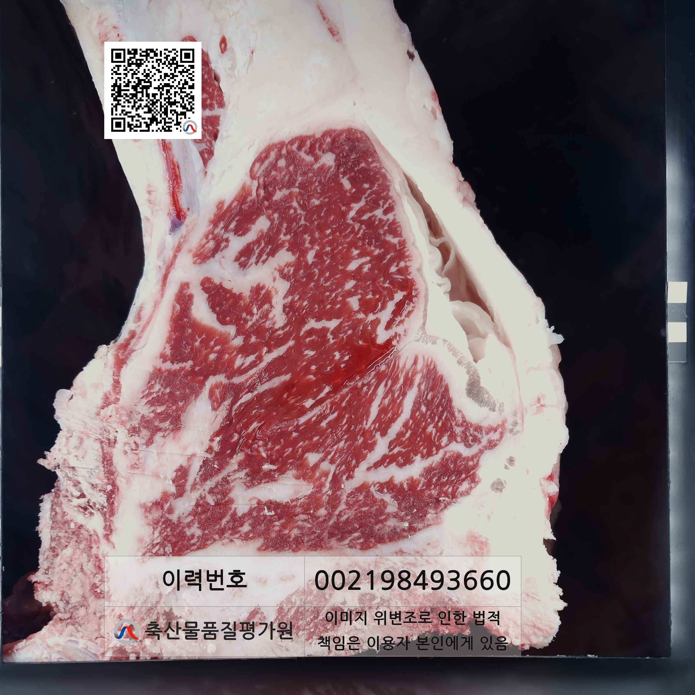 등심단면적 사진