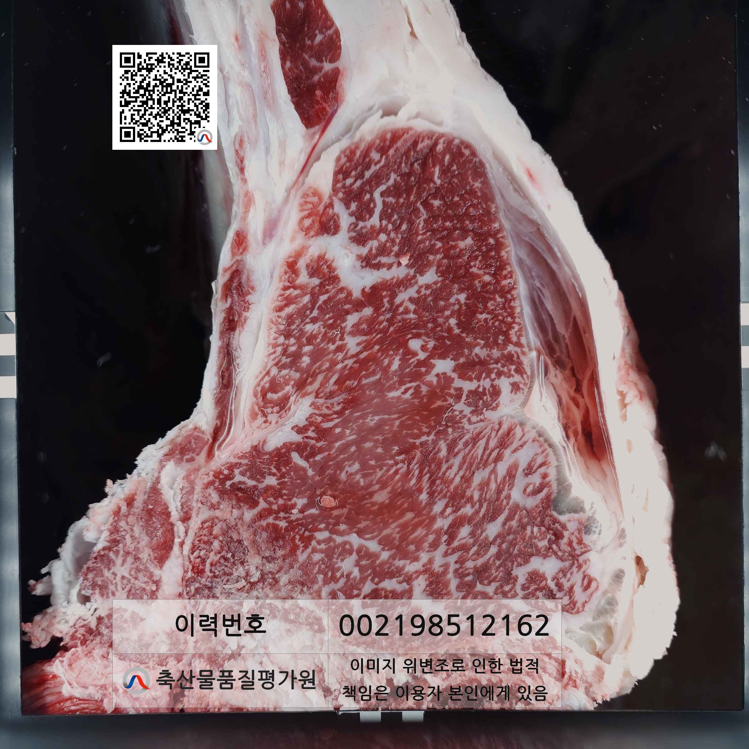 등심단면적 사진