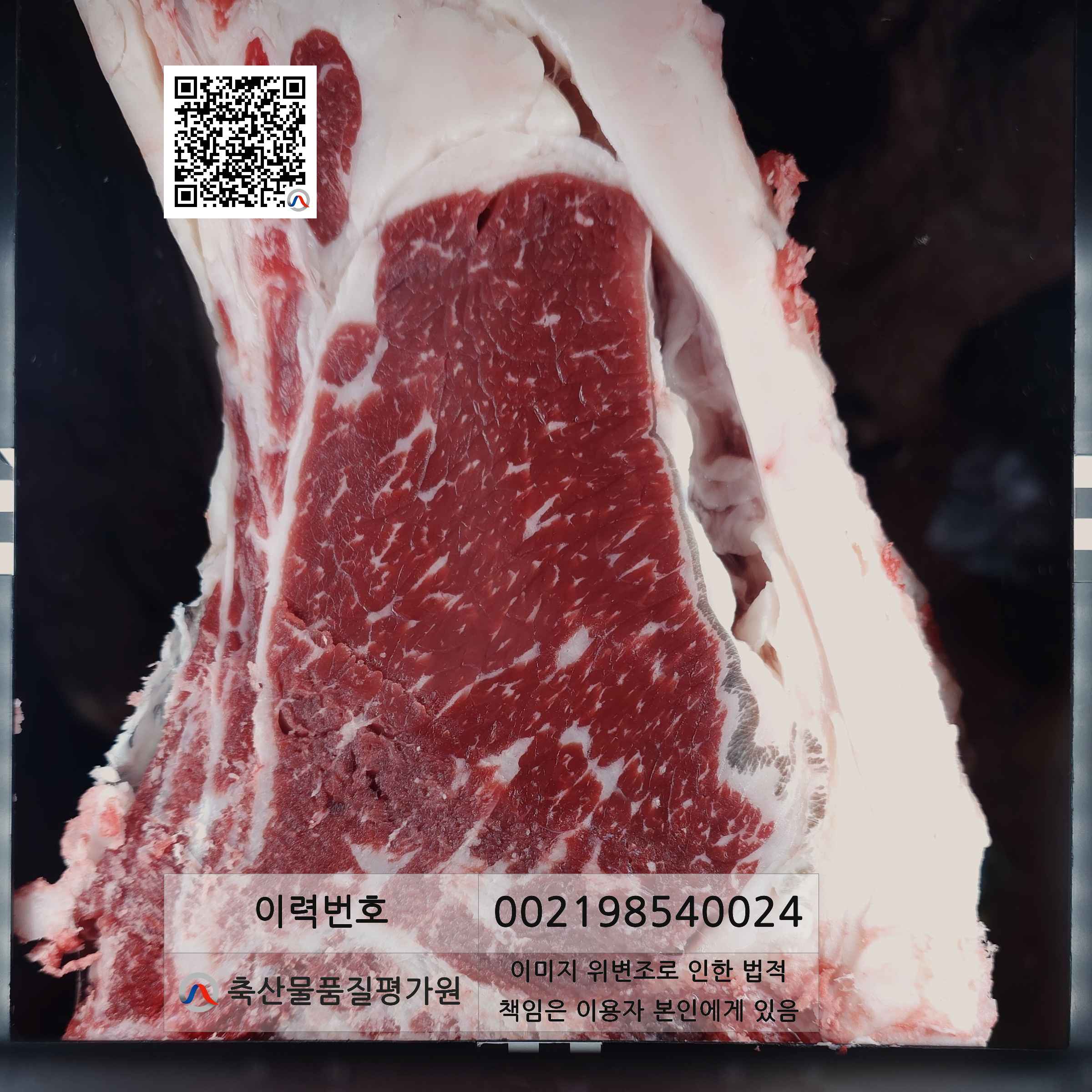 등심단면적 사진