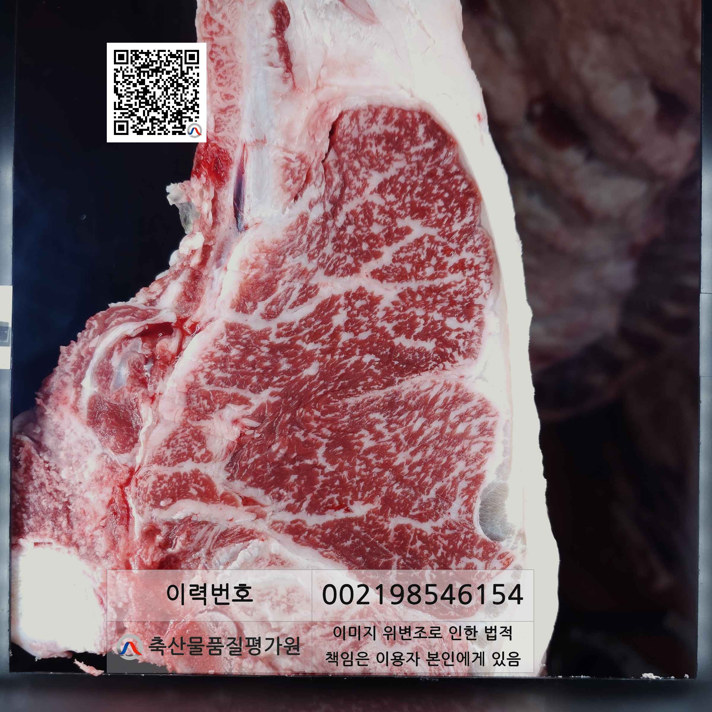 등심단면적 사진