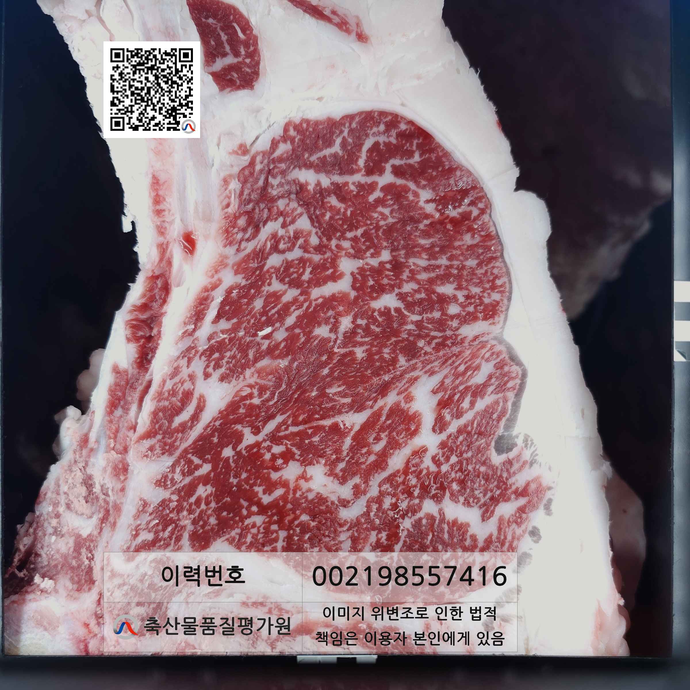 등심단면적 사진
