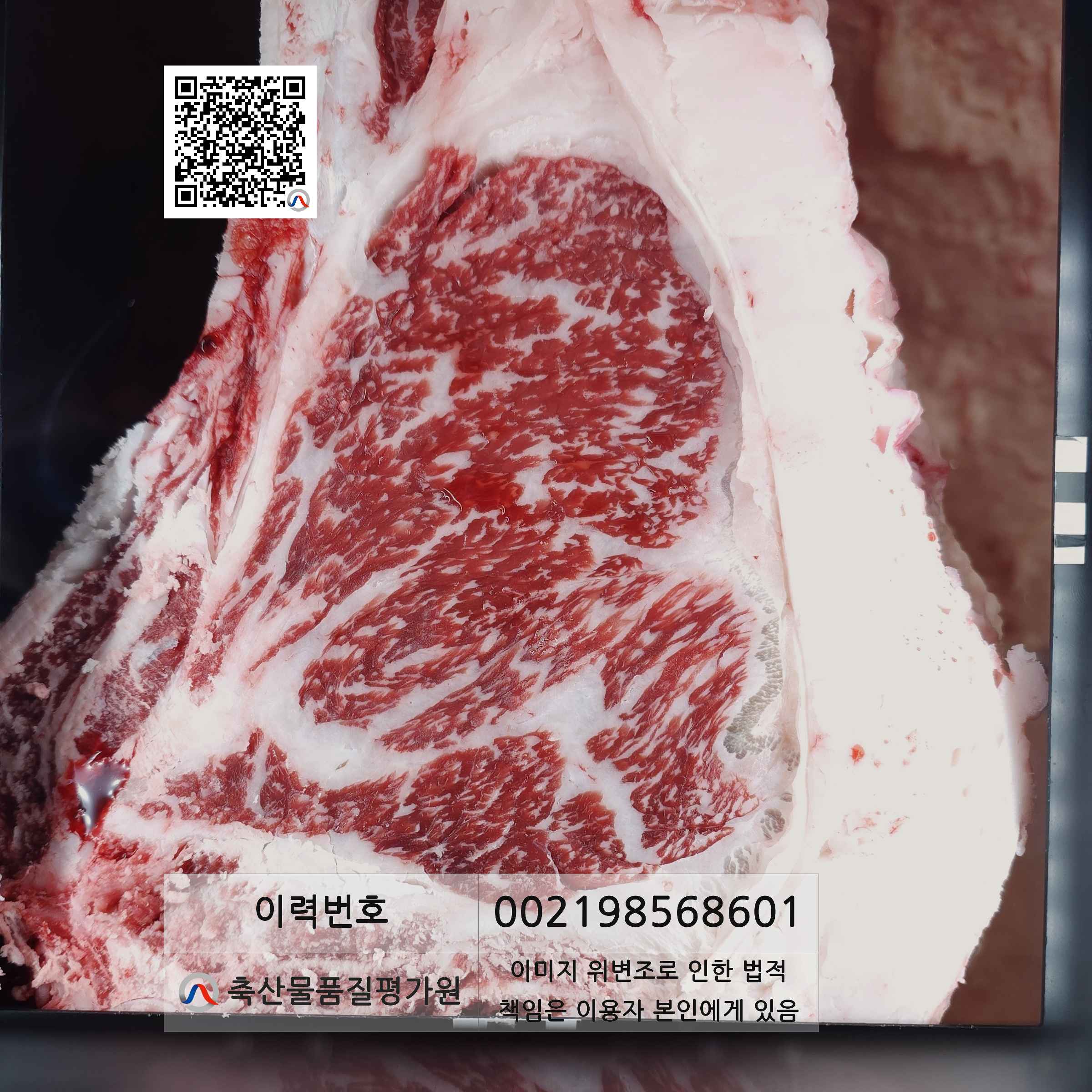 등심단면적 사진