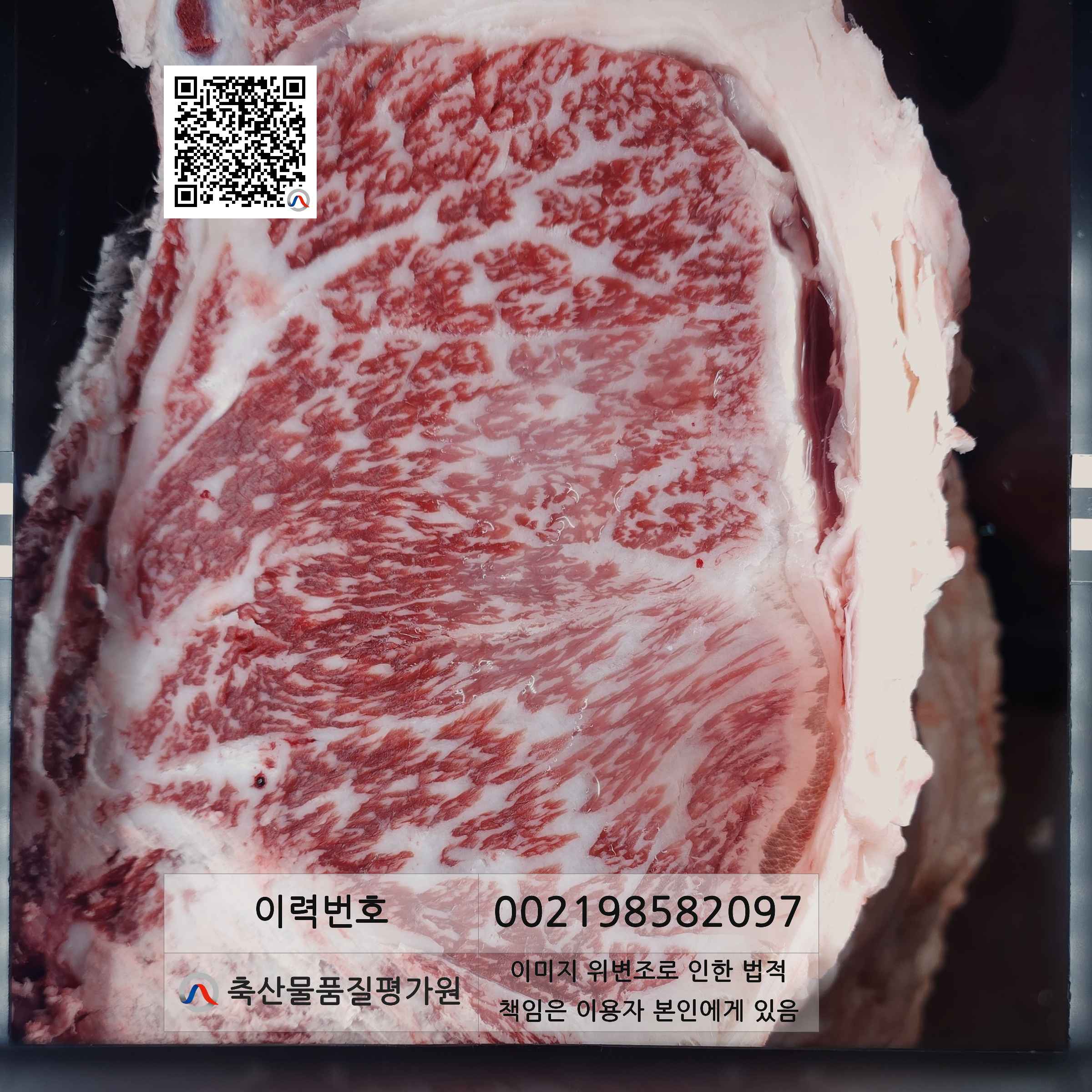 등심단면적 사진