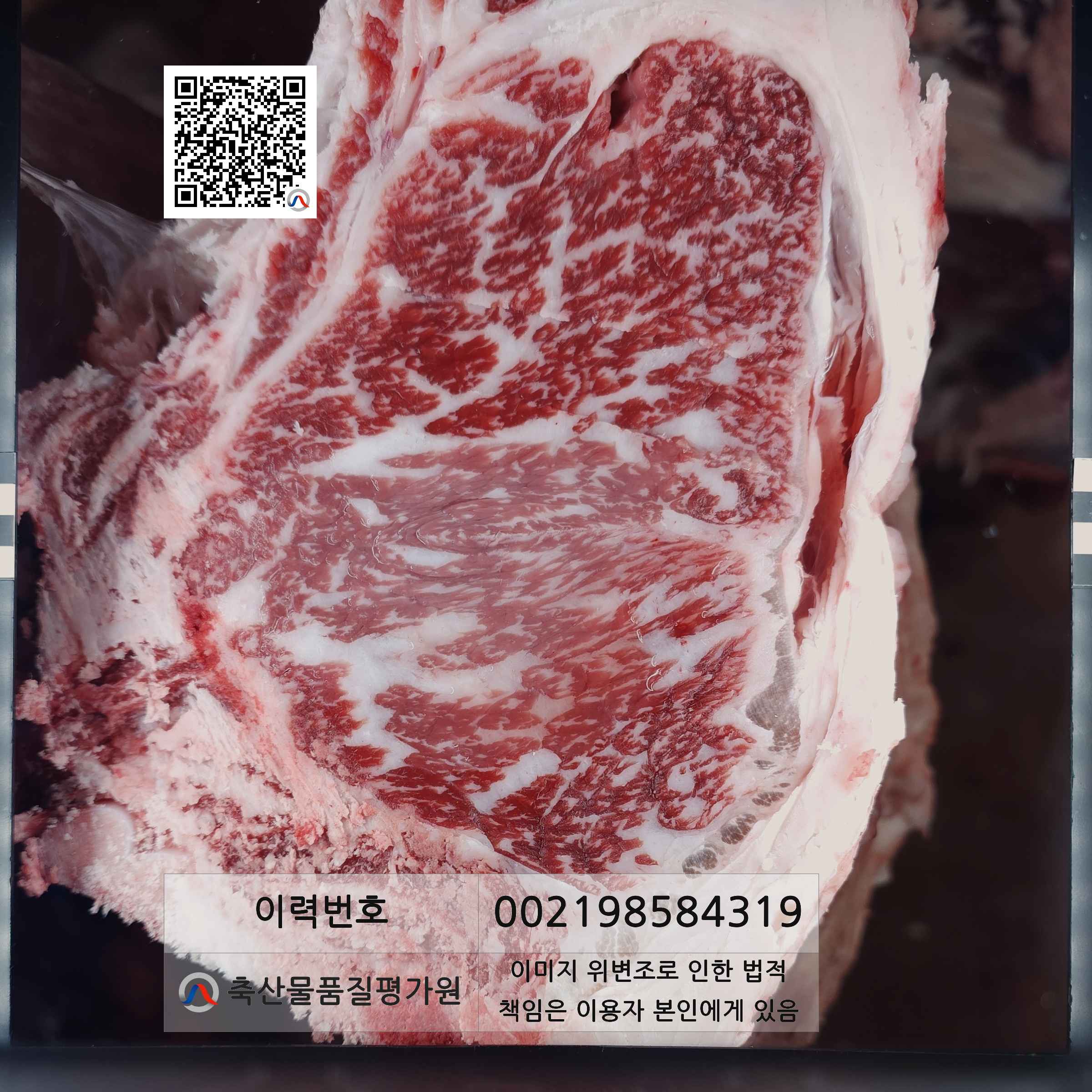 등심단면적 사진