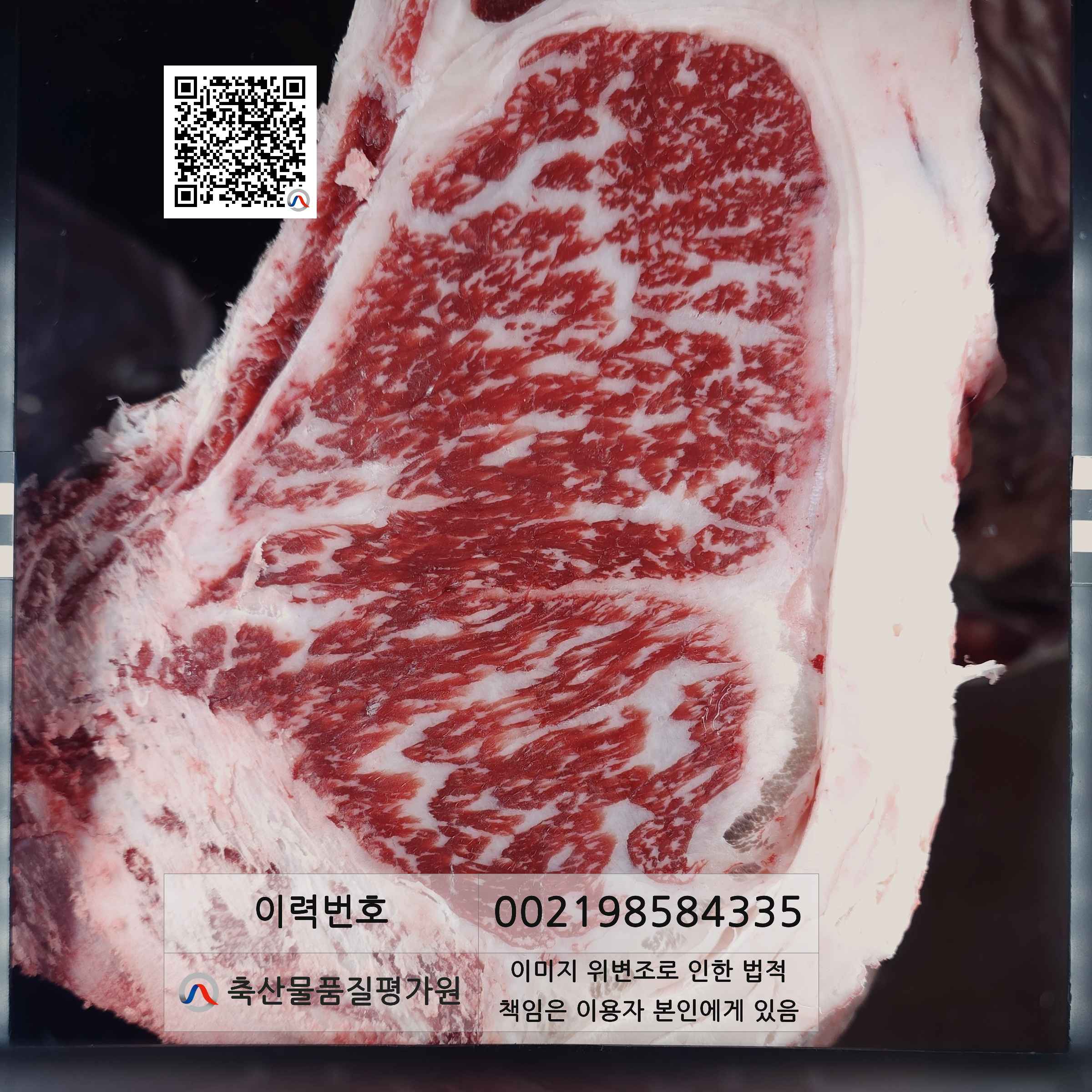 등심단면적 사진