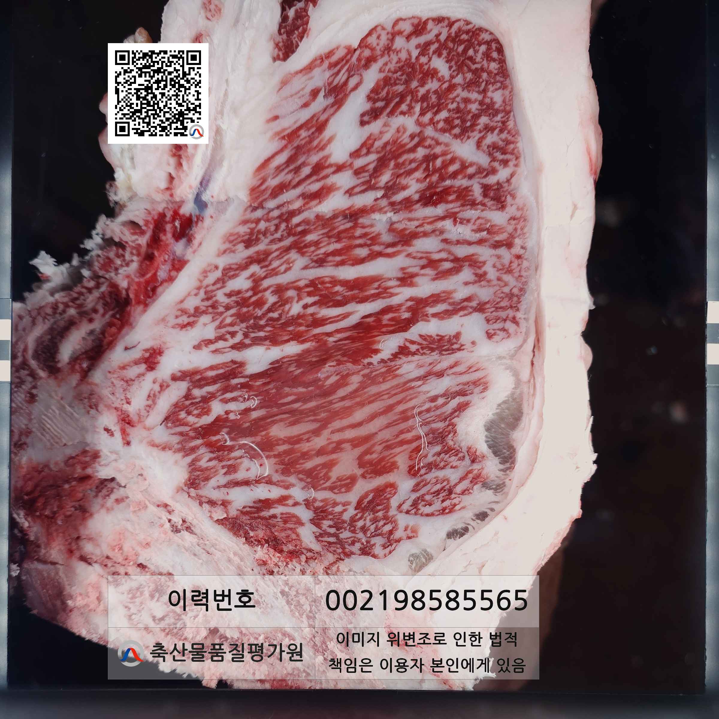 등심단면적 사진