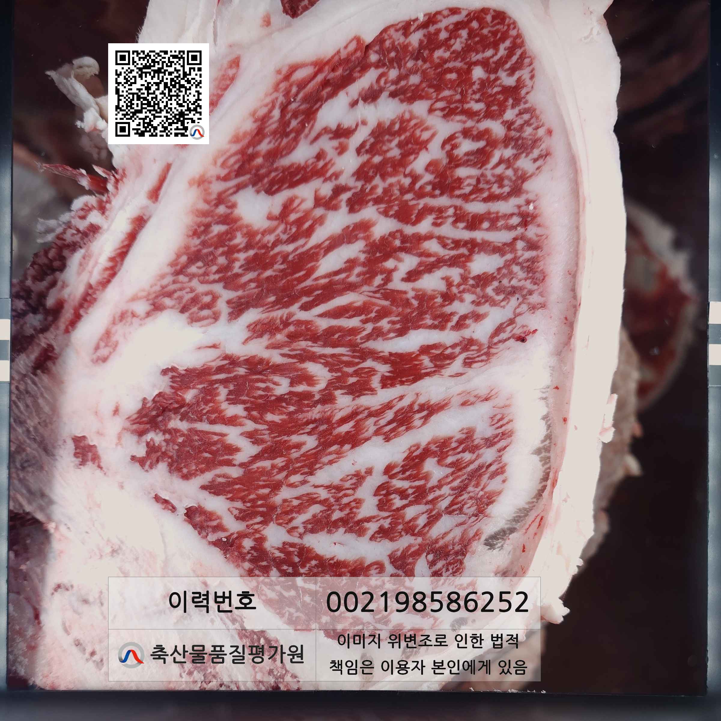 등심단면적 사진