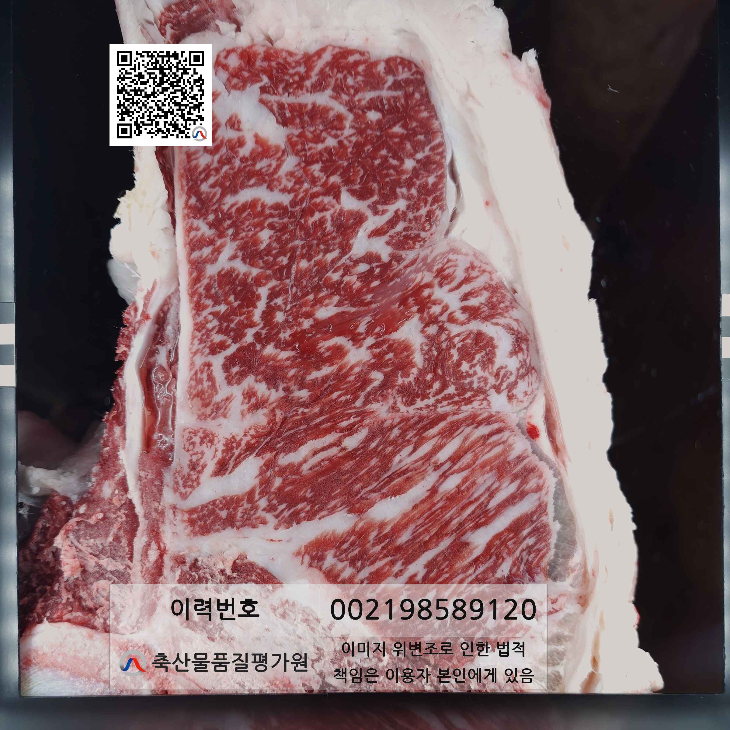 등심단면적 사진