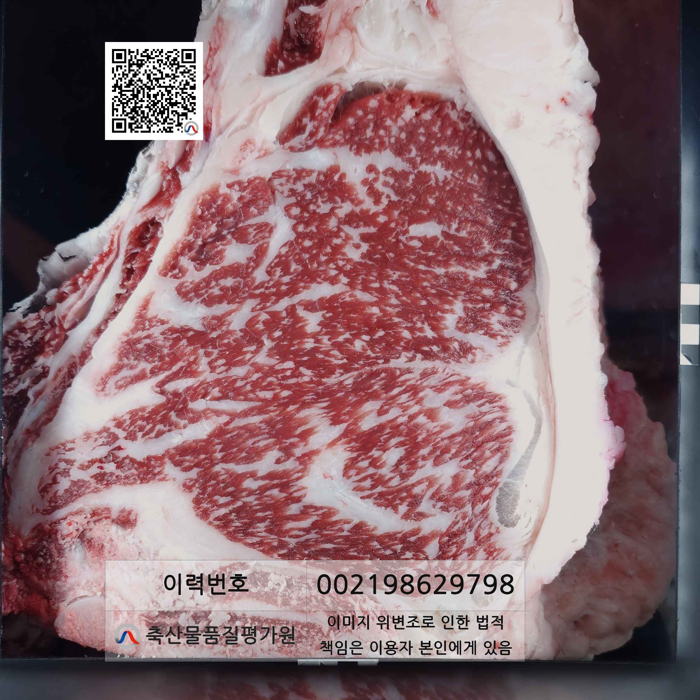 등심단면적 사진