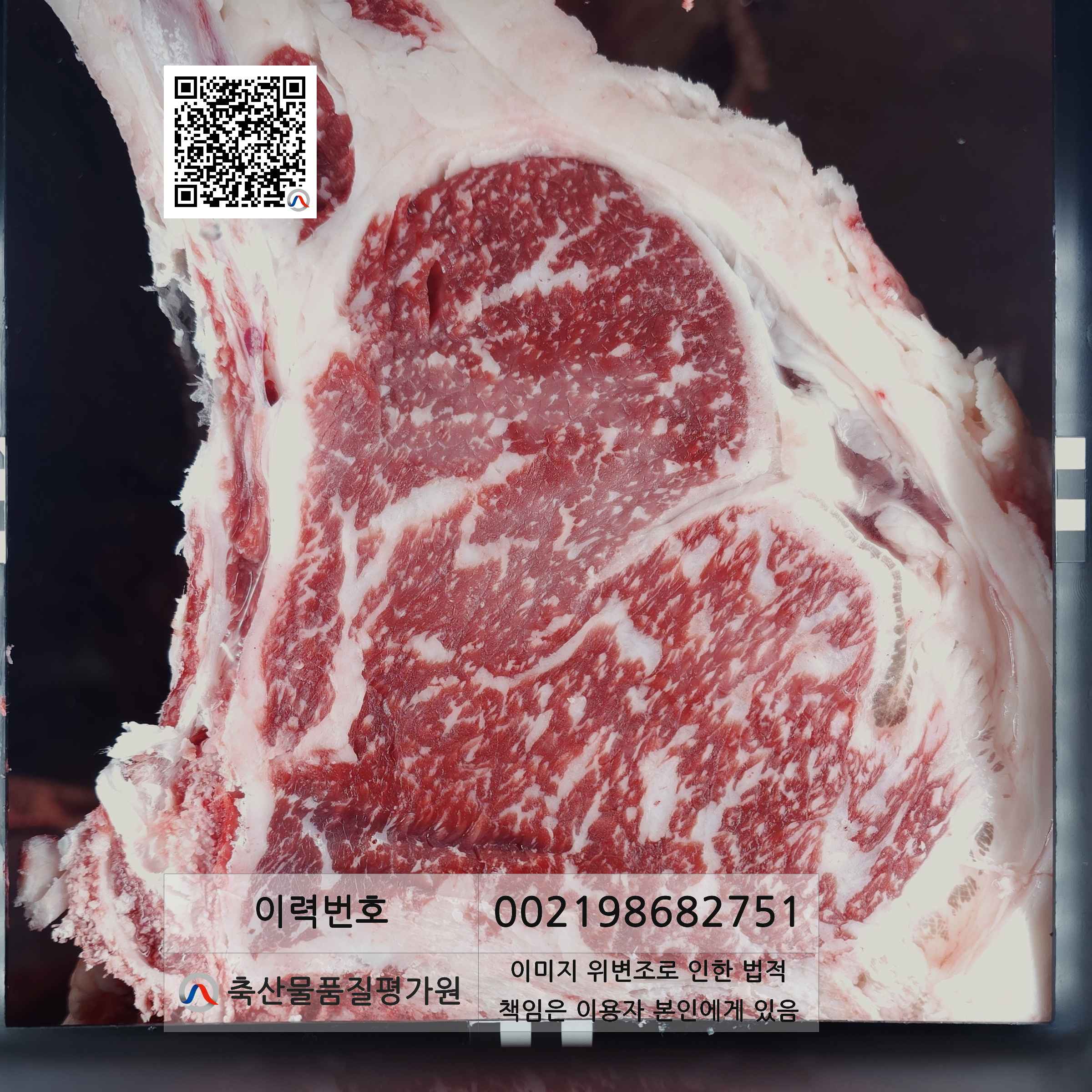 등심단면적 사진