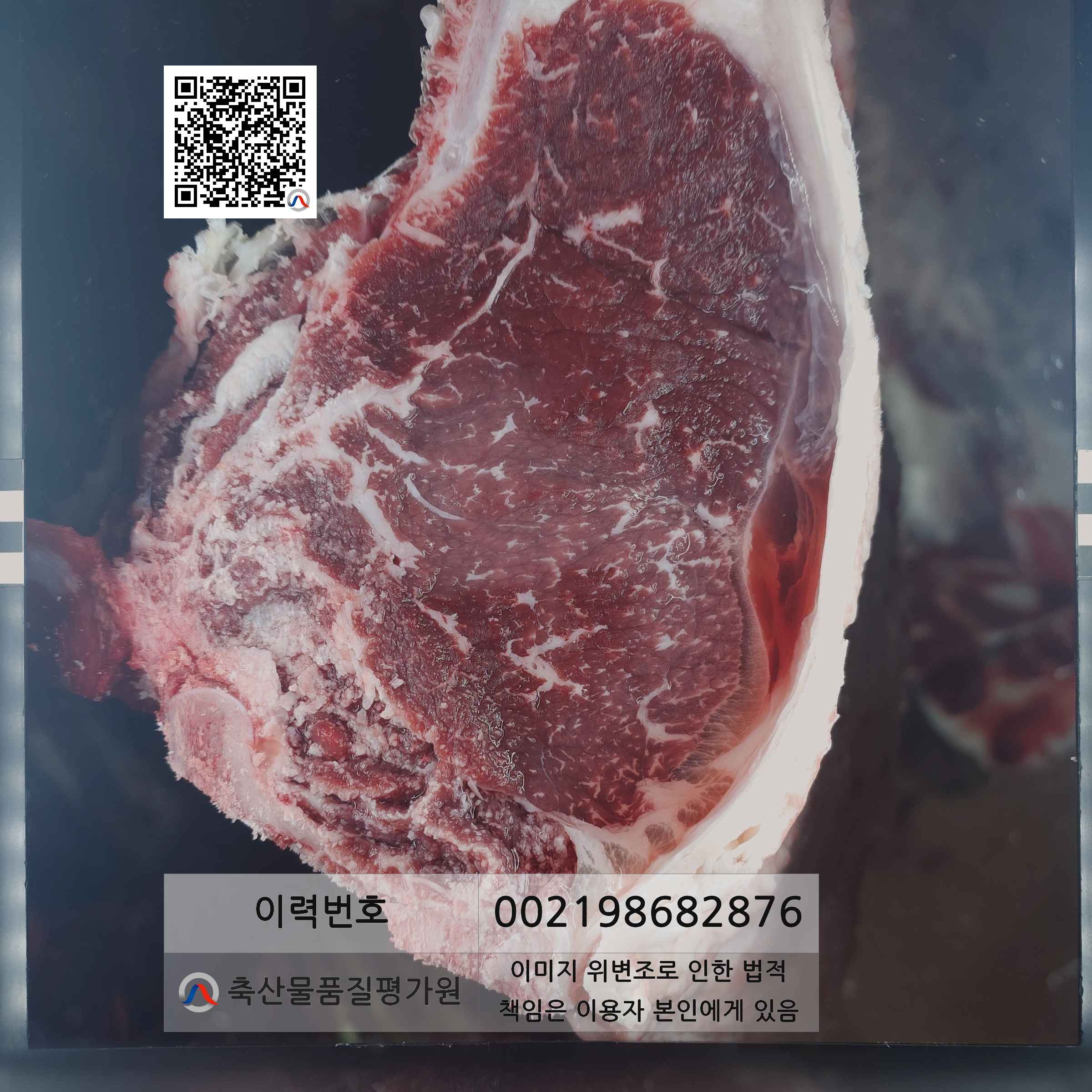 등심단면적 사진