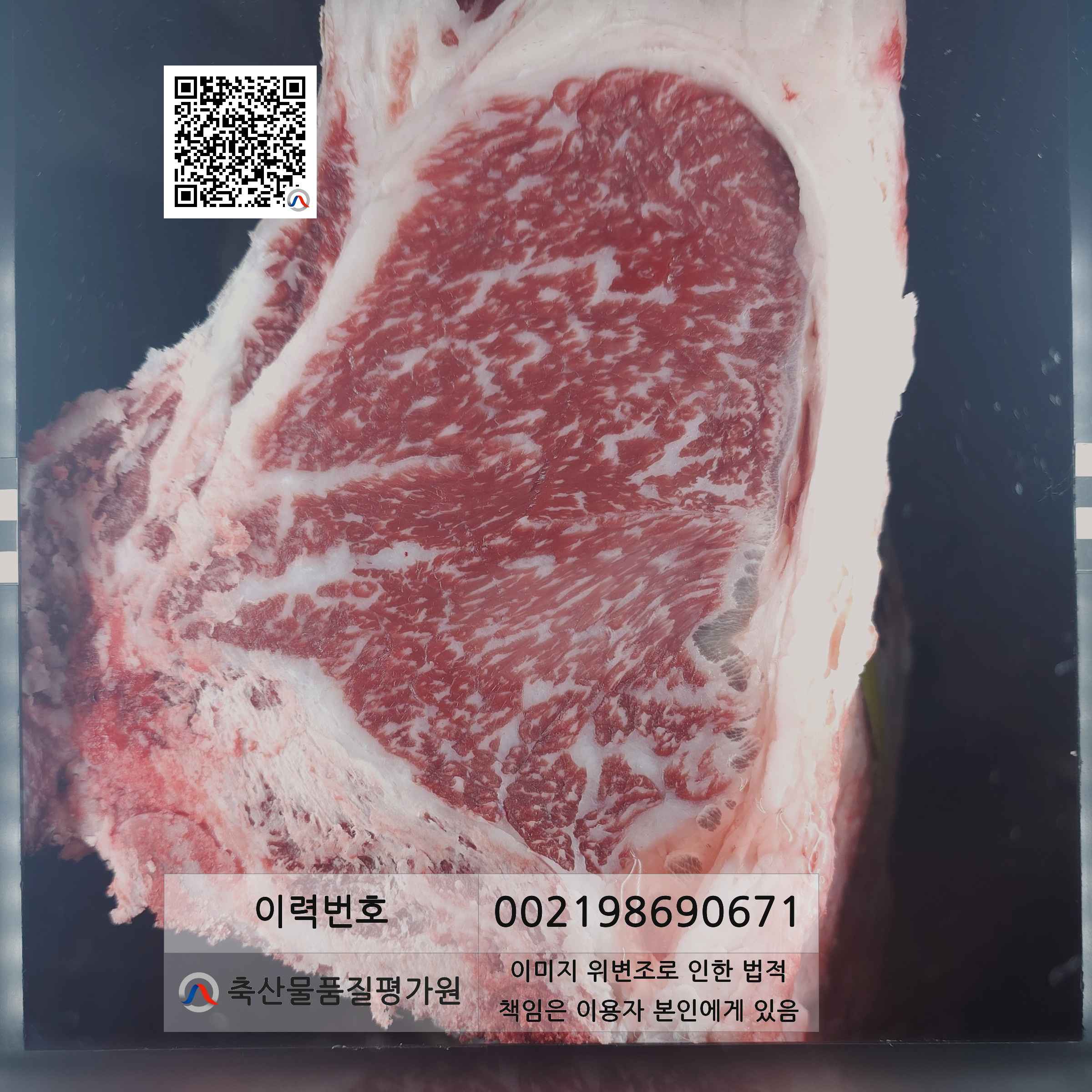 등심단면적 사진