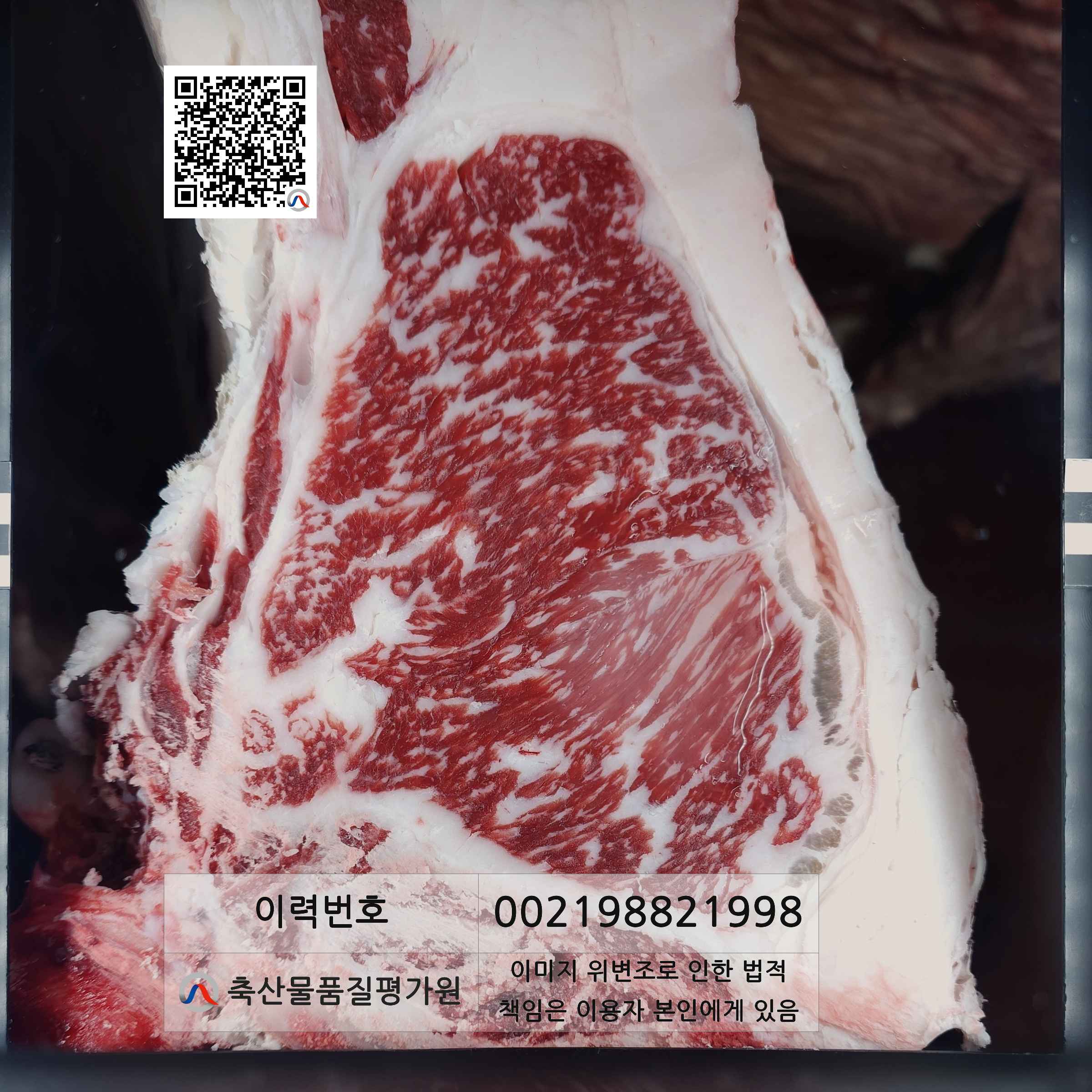 등심단면적 사진