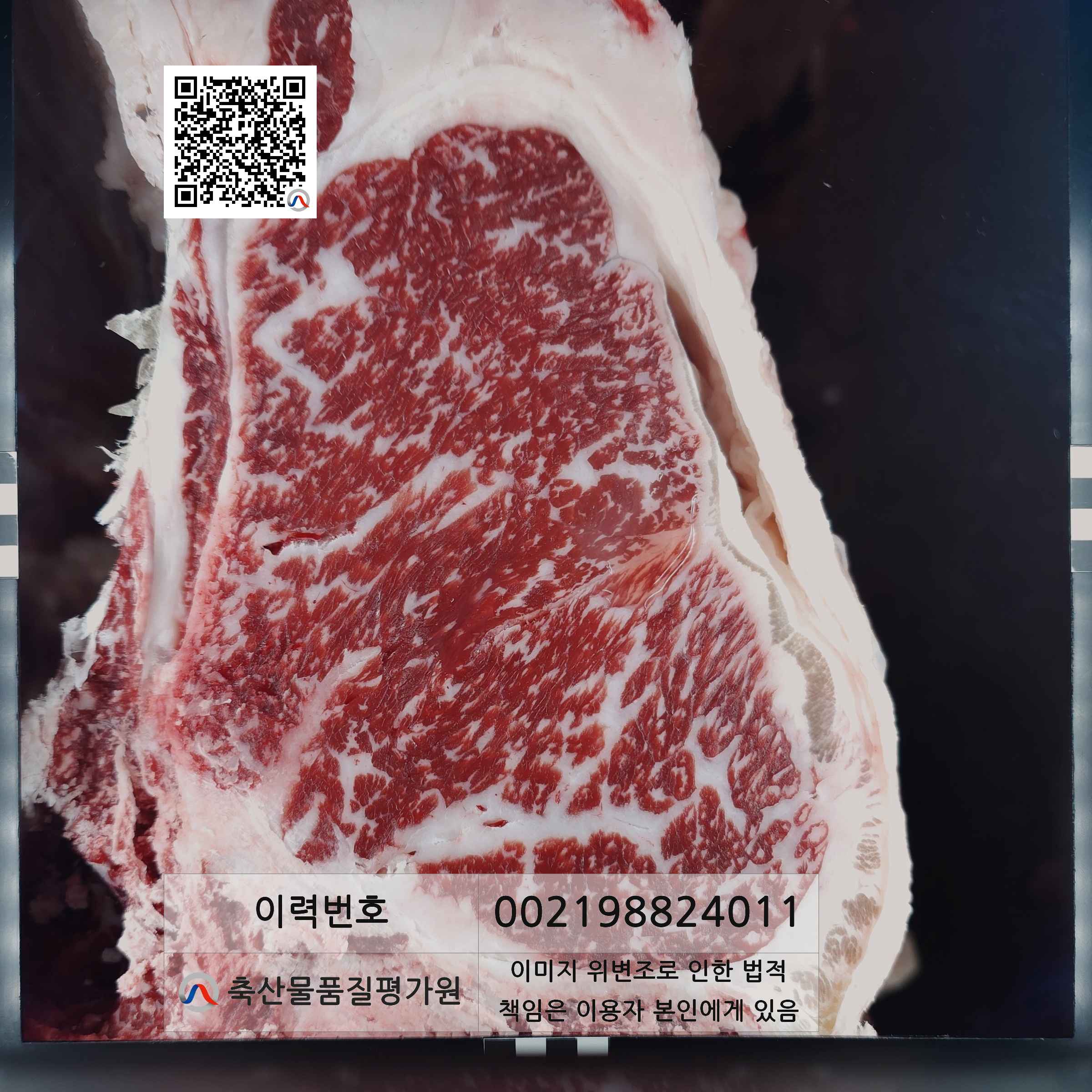 등심단면적 사진