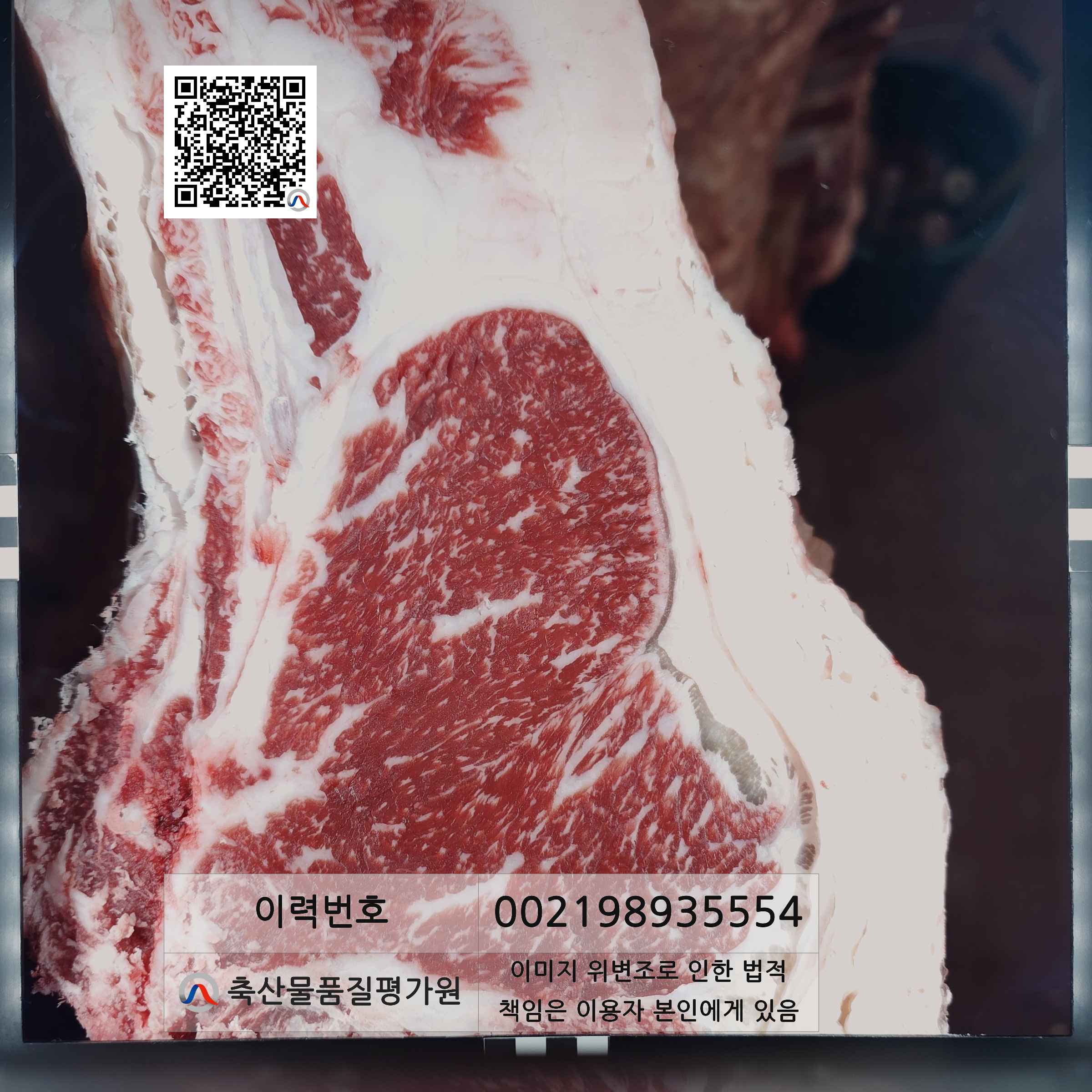 등심단면적 사진