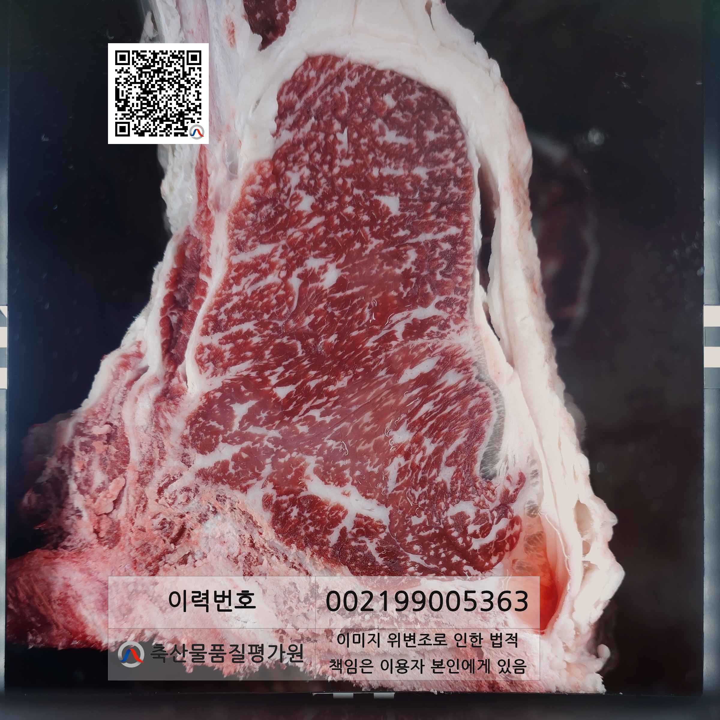 등심단면적 사진