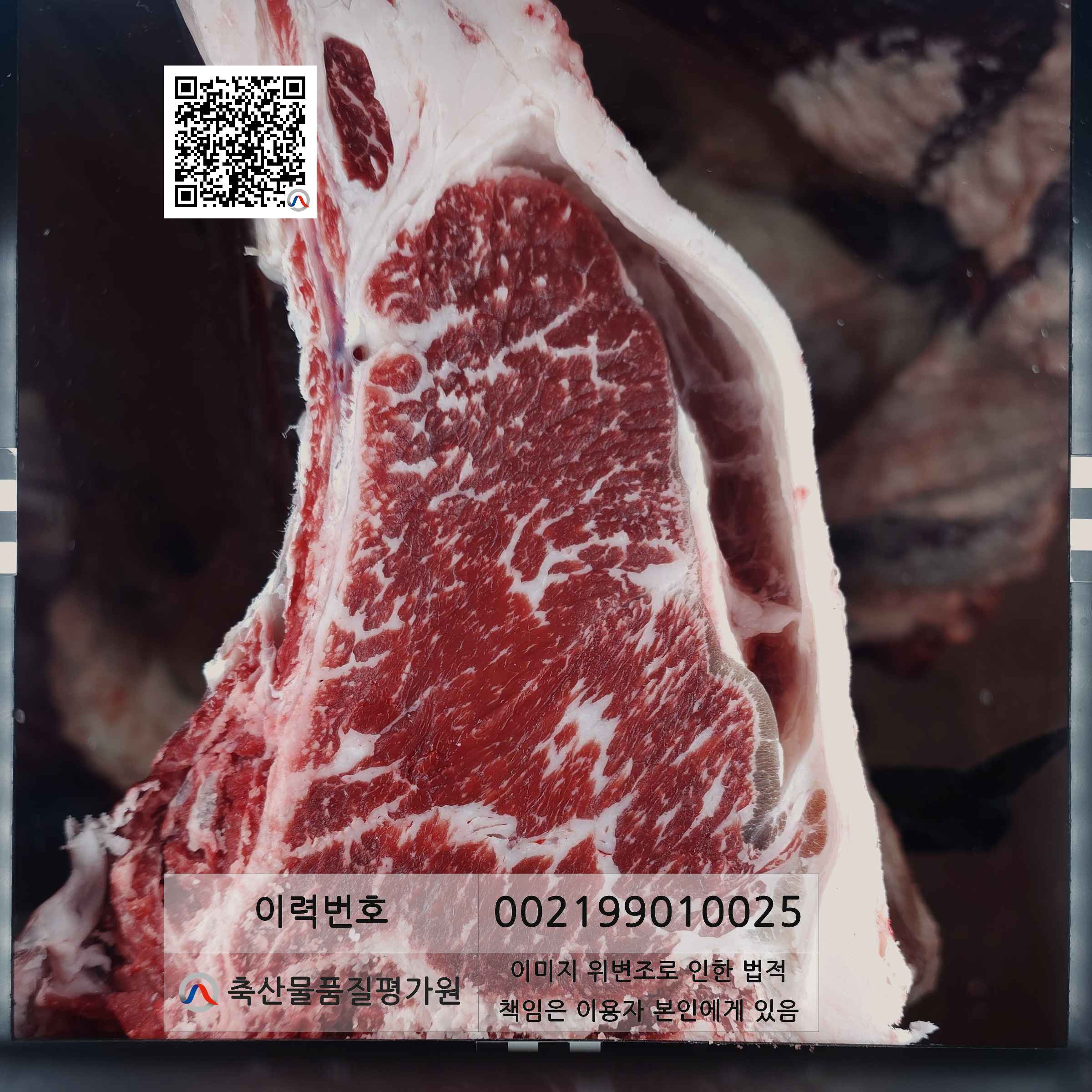 등심단면적 사진