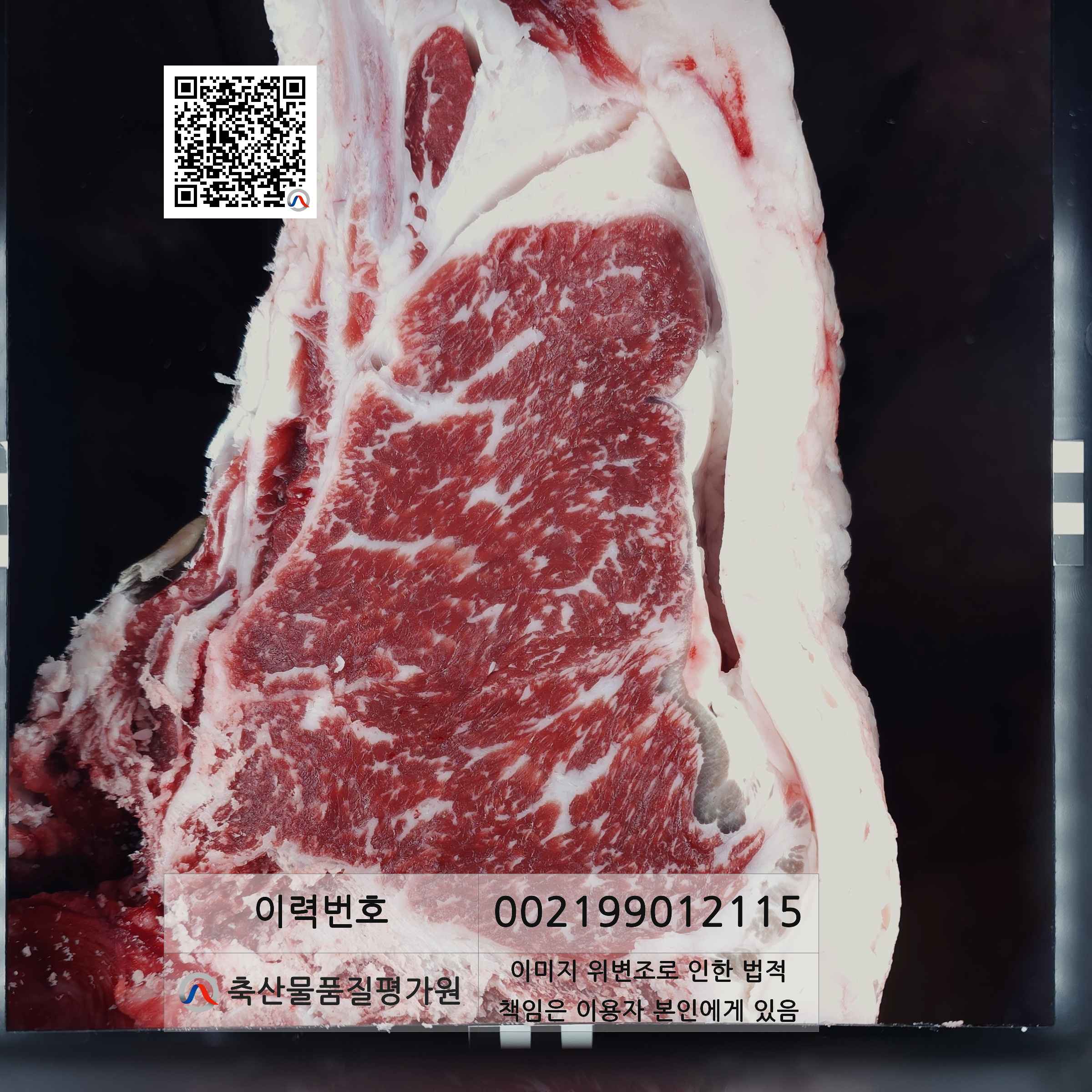 등심단면적 사진