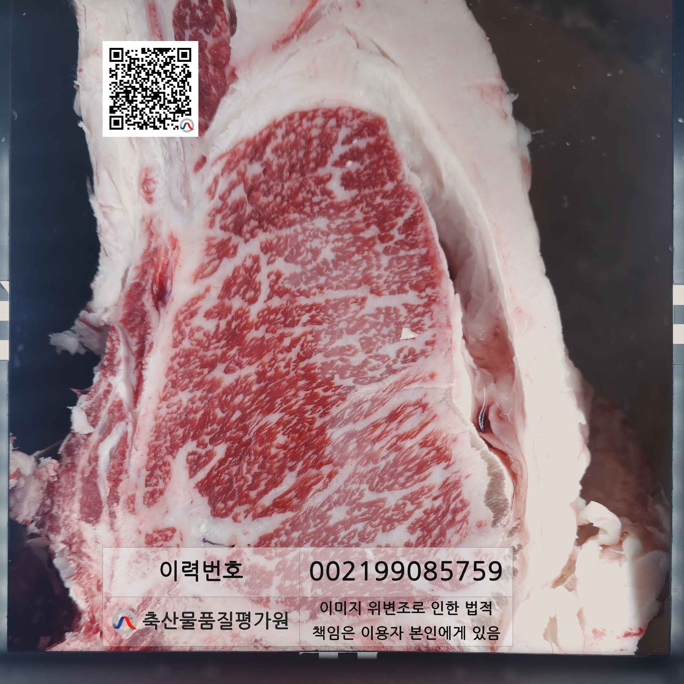 등심단면적 사진