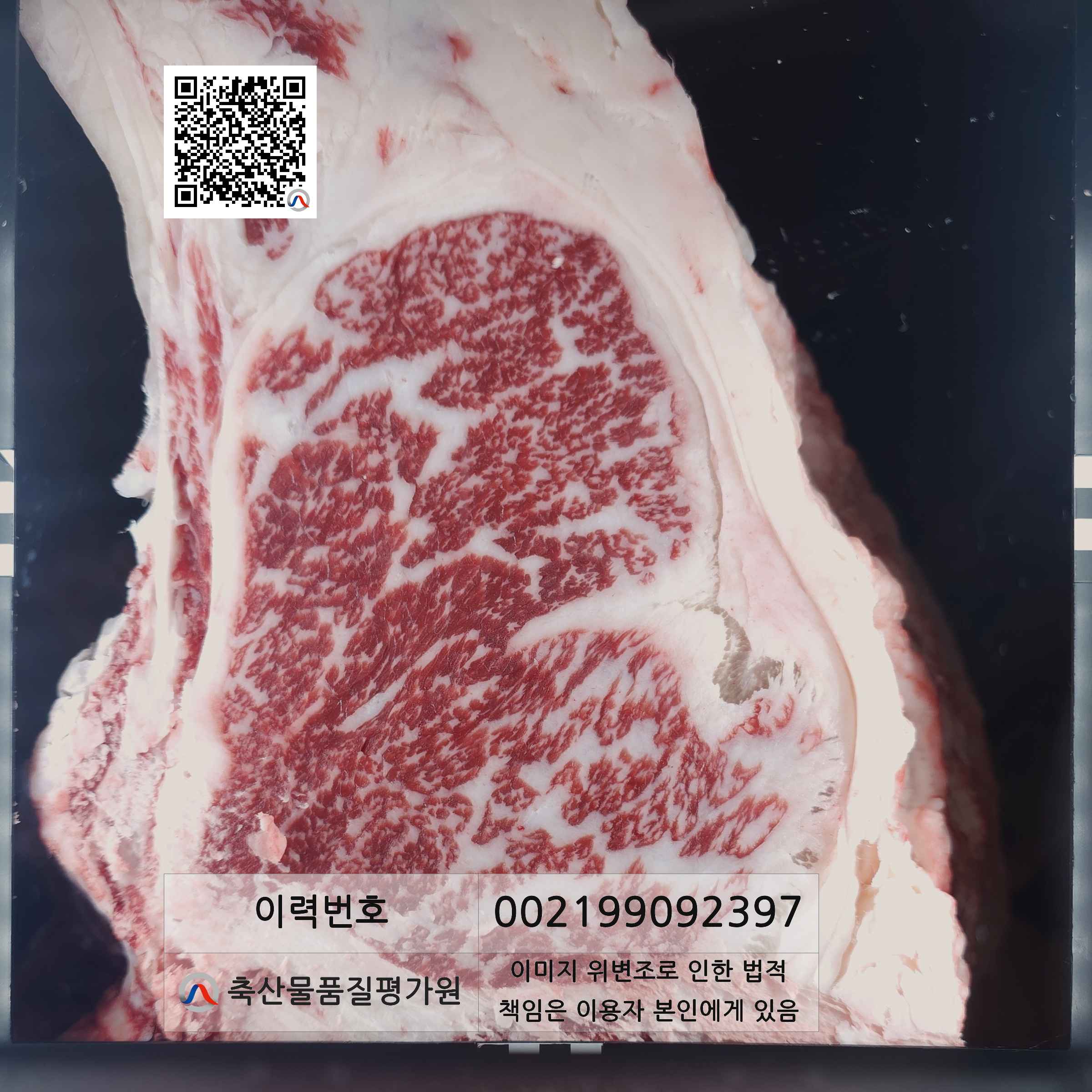 등심단면적 사진