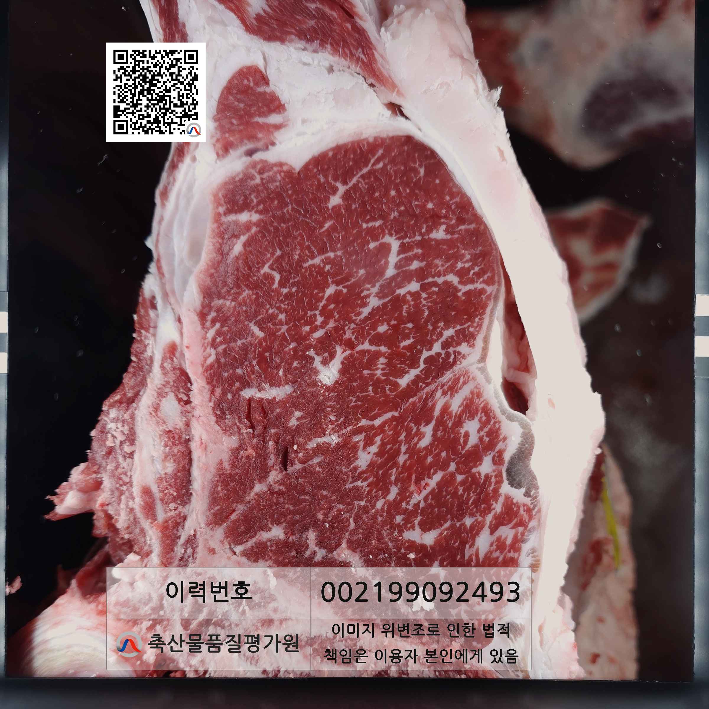 등심단면적 사진