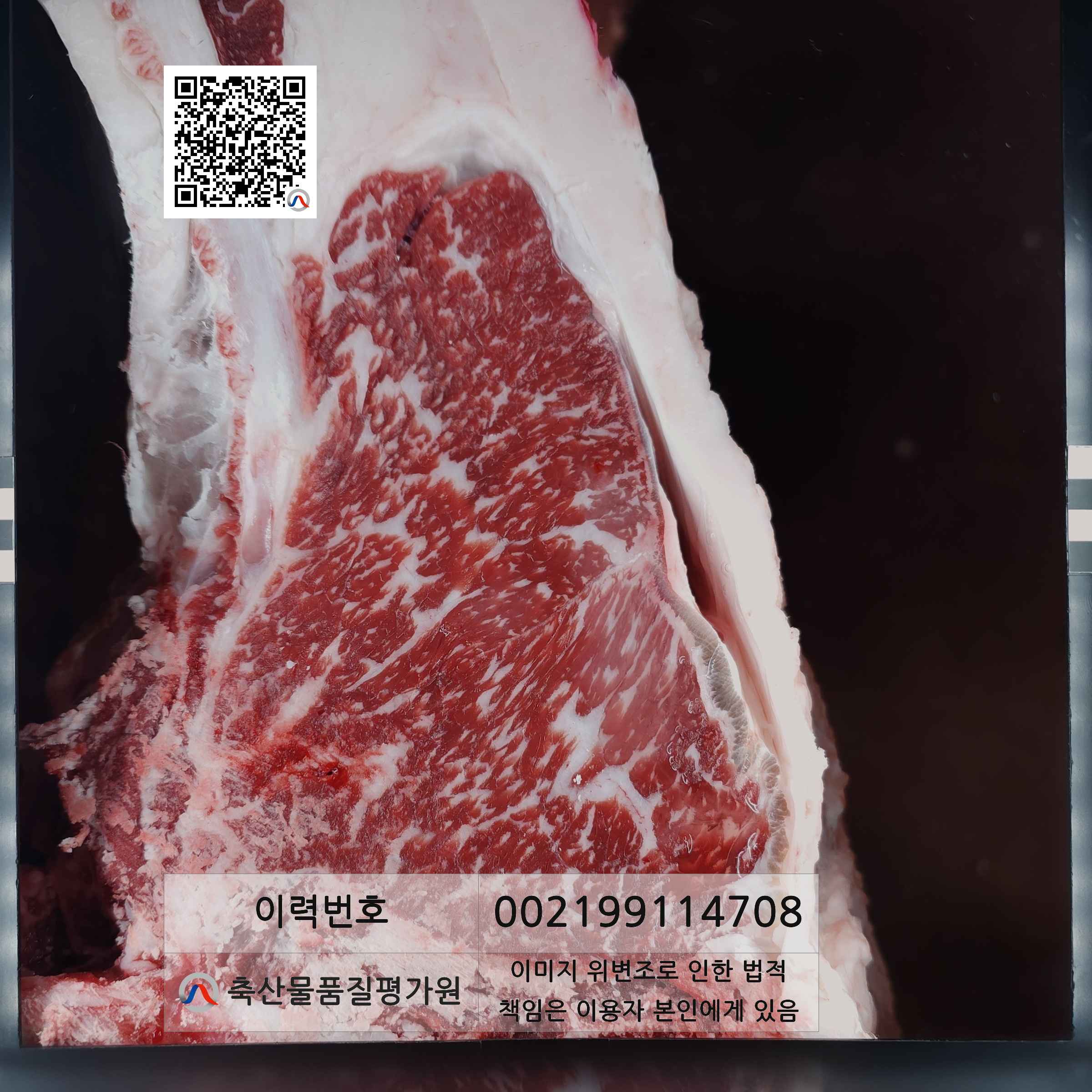 등심단면적 사진