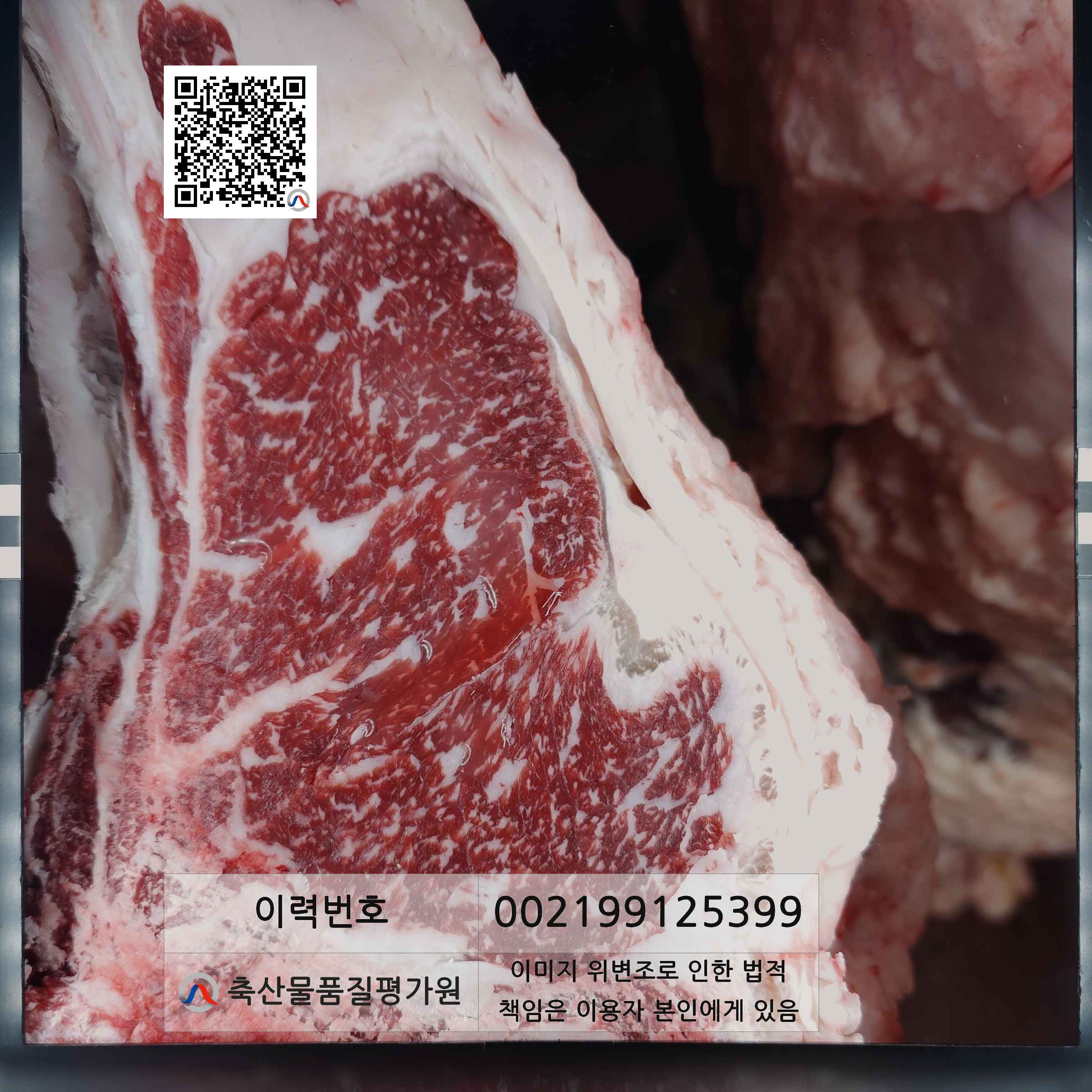 등심단면적 사진