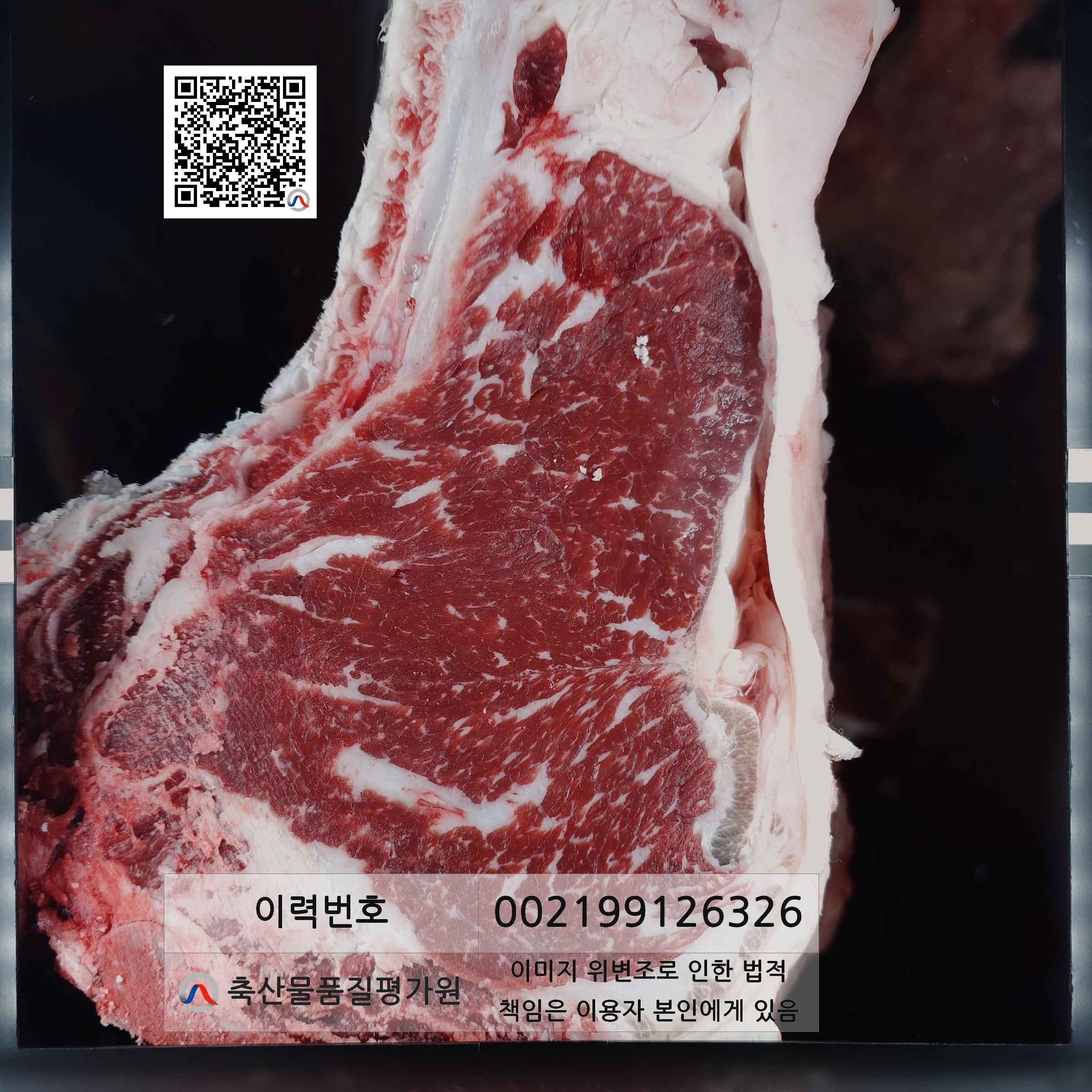 등심단면적 사진
