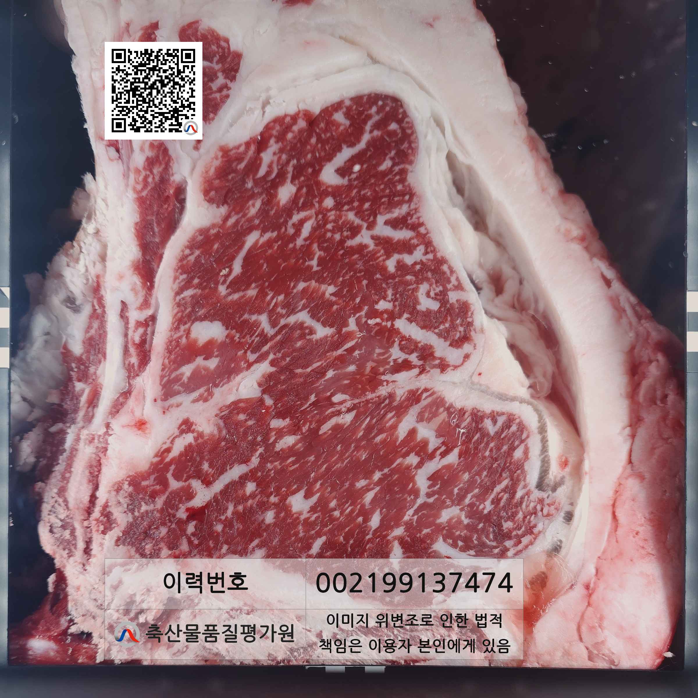 등심단면적 사진